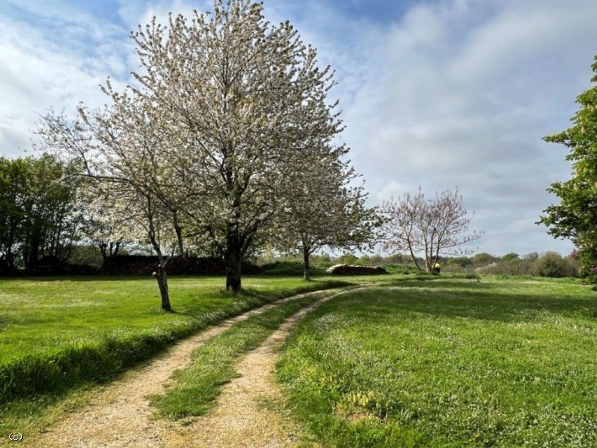 loger dans Confolens, Nouvelle-Aquitaine 10218583