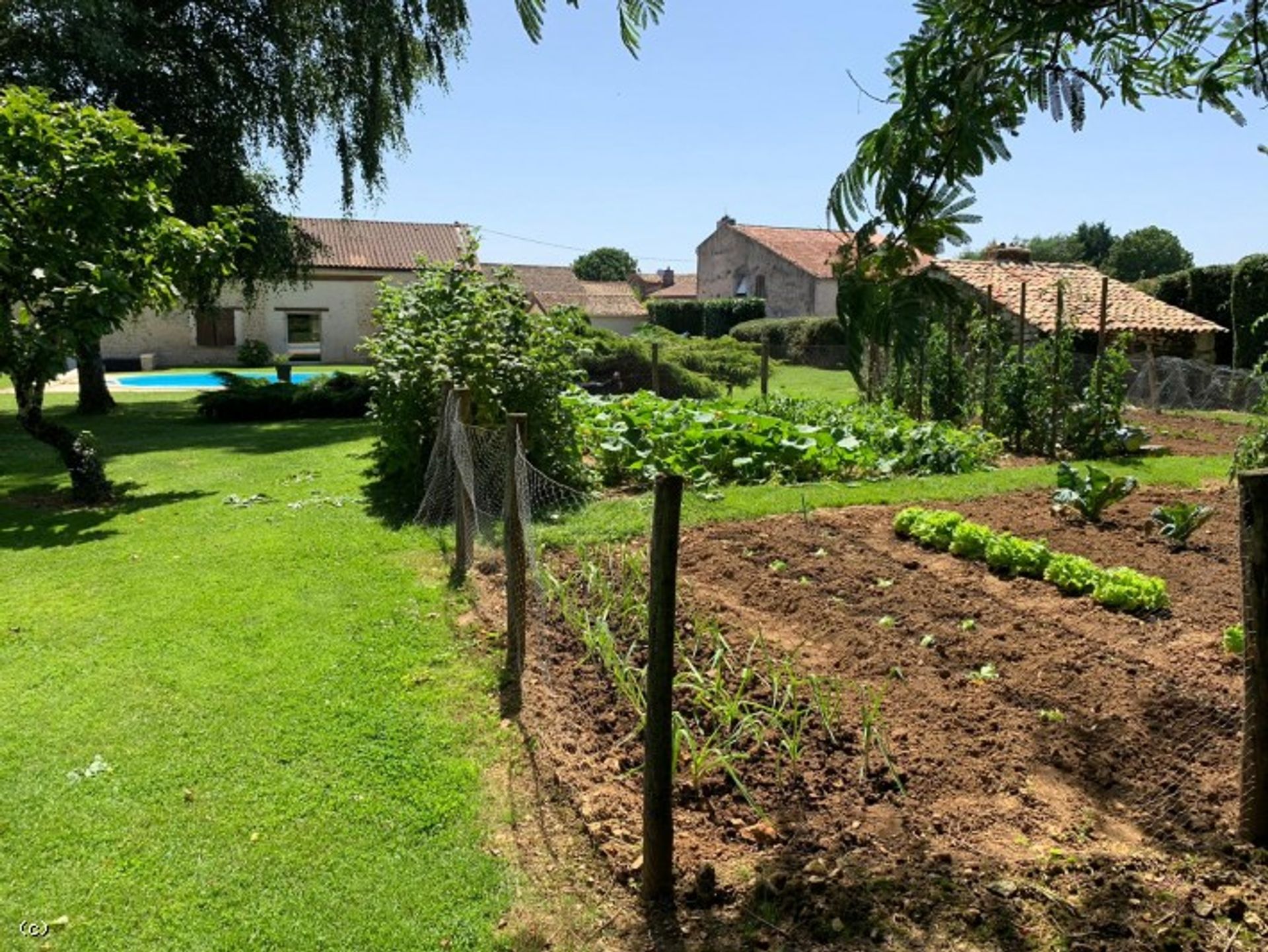 rumah dalam Ruffec, Nouvelle-Aquitaine 10218817