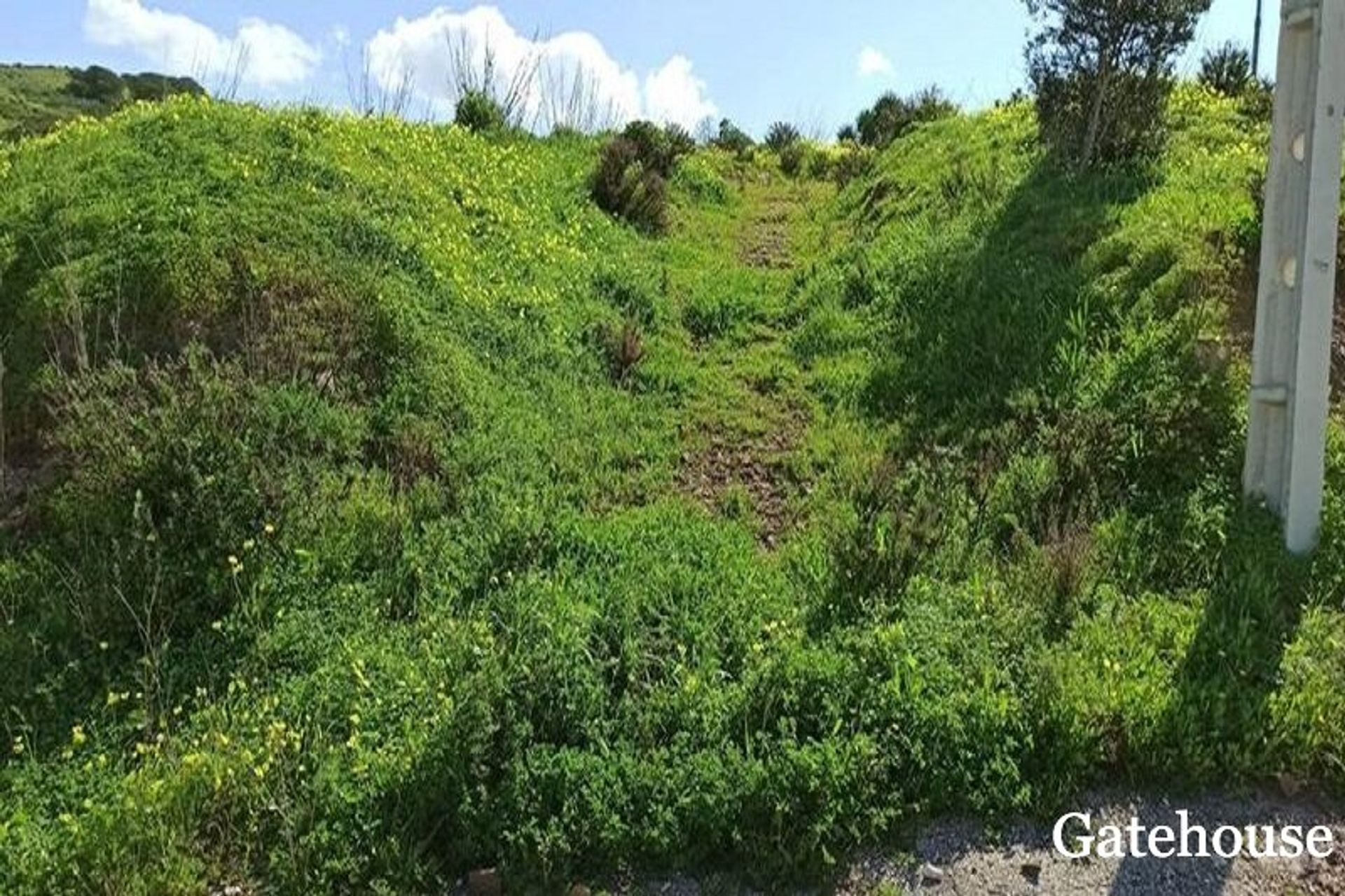 其他 在 Vila do Bispo, Faro District 10219428