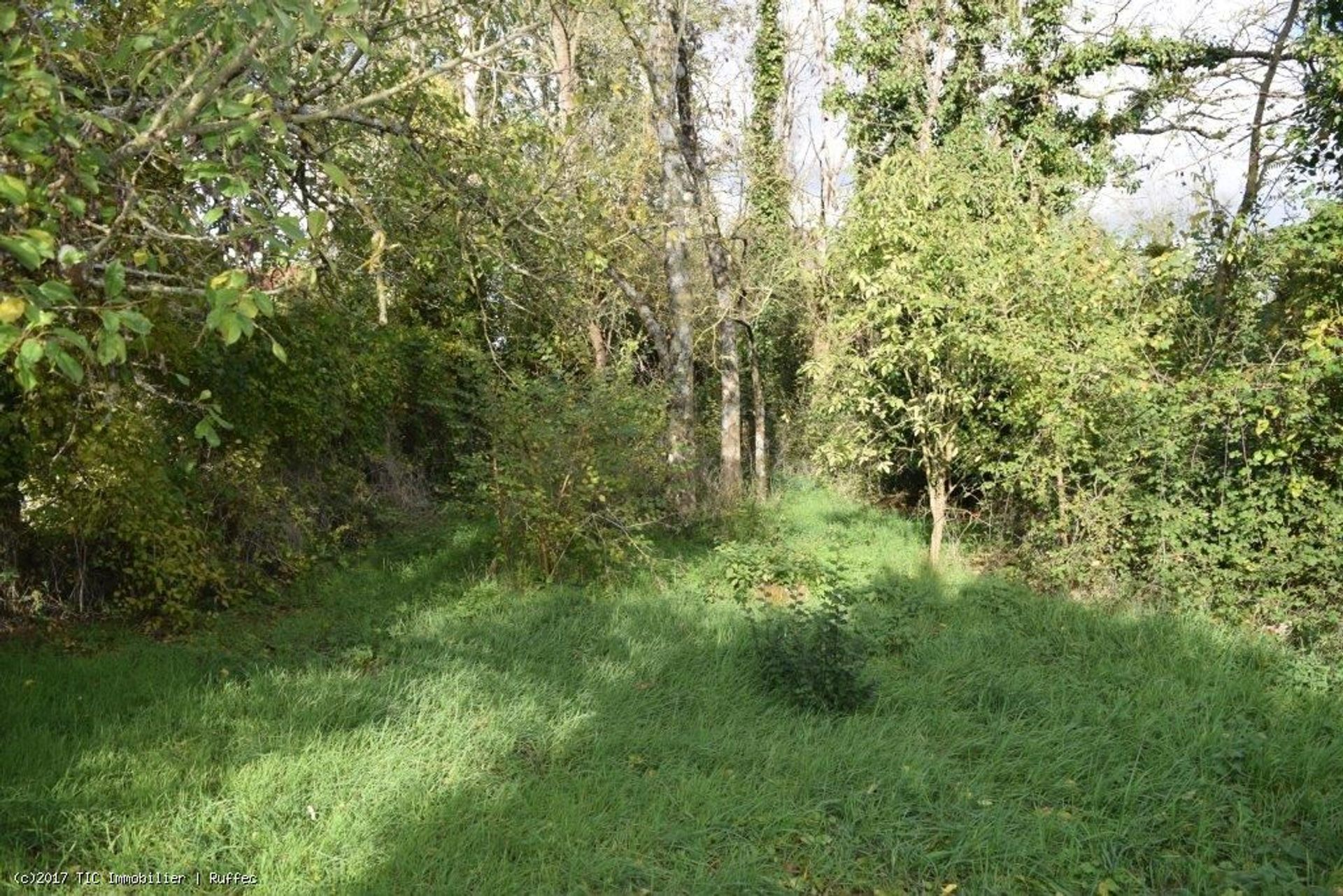 loger dans Villefagnan, Nouvelle-Aquitaine 10219457