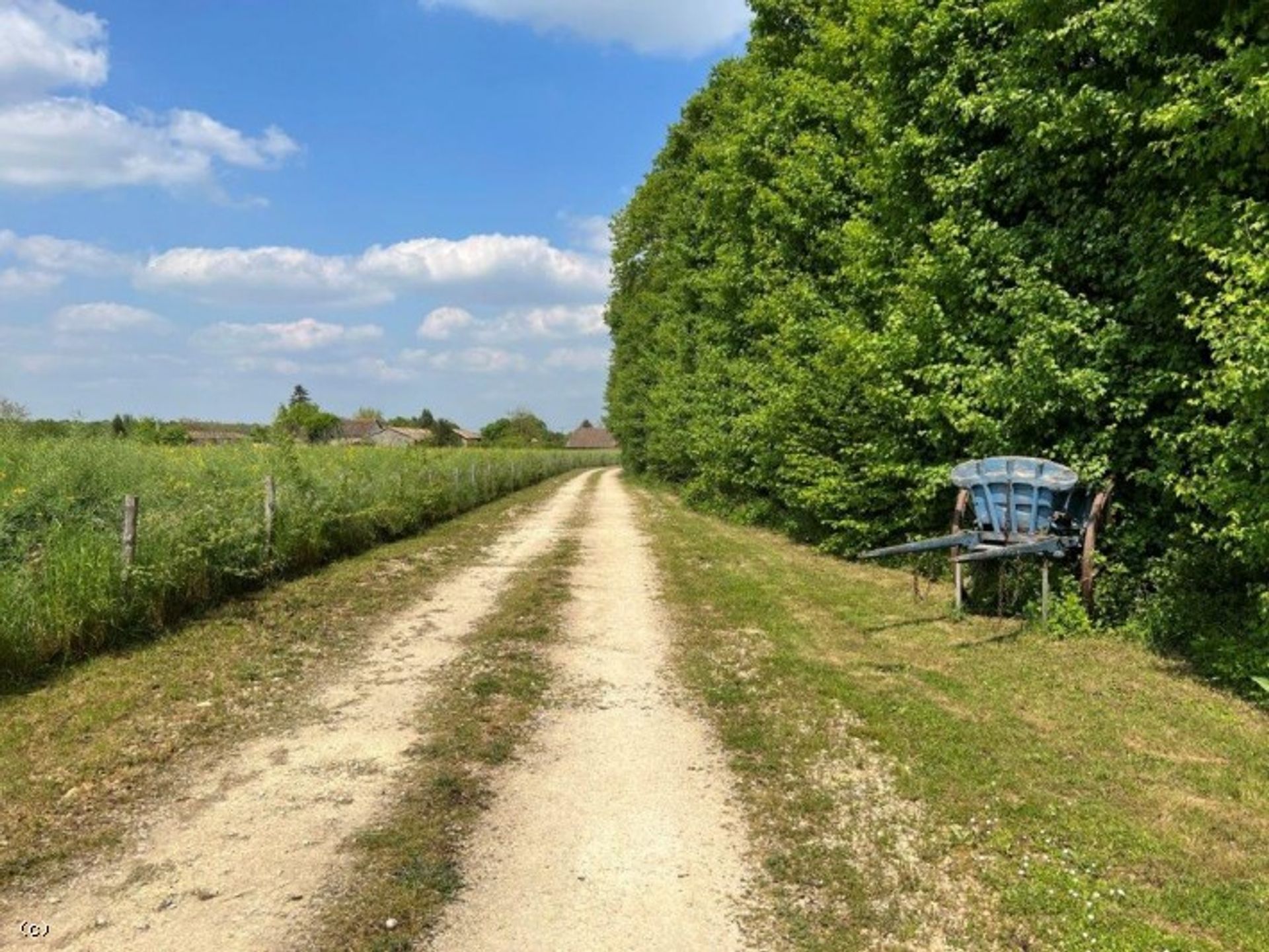 Andere im Condac, Nouvelle-Aquitaine 10219509