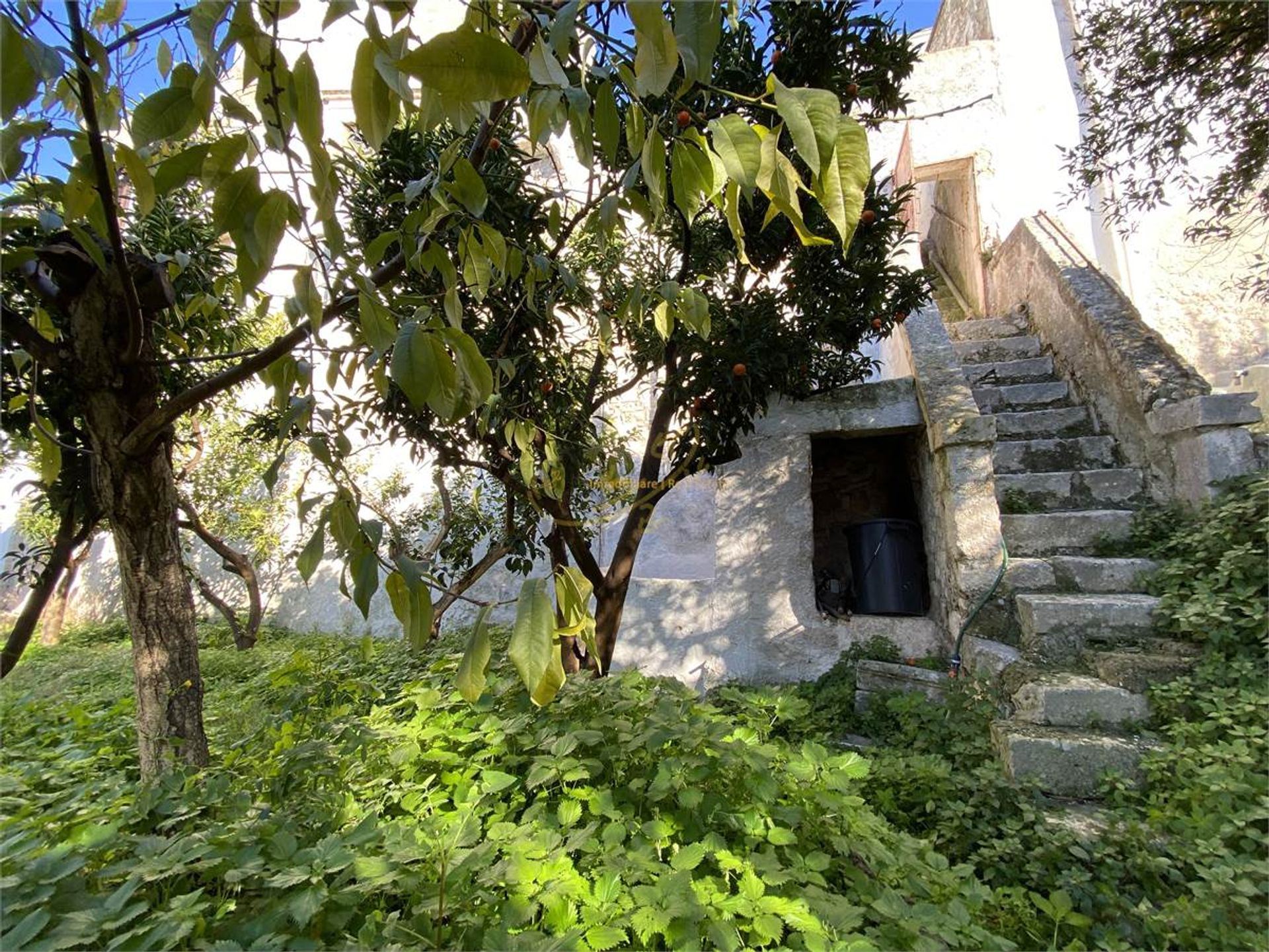 Συγκυριαρχία σε Ostuni, Apulia 10220365