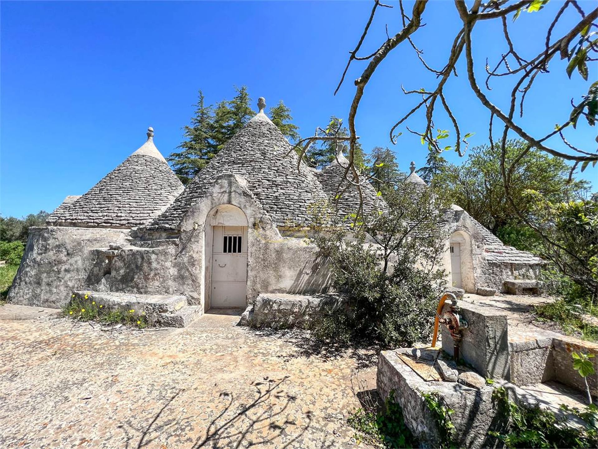 عمارات في Putignano, Puglia 10220368