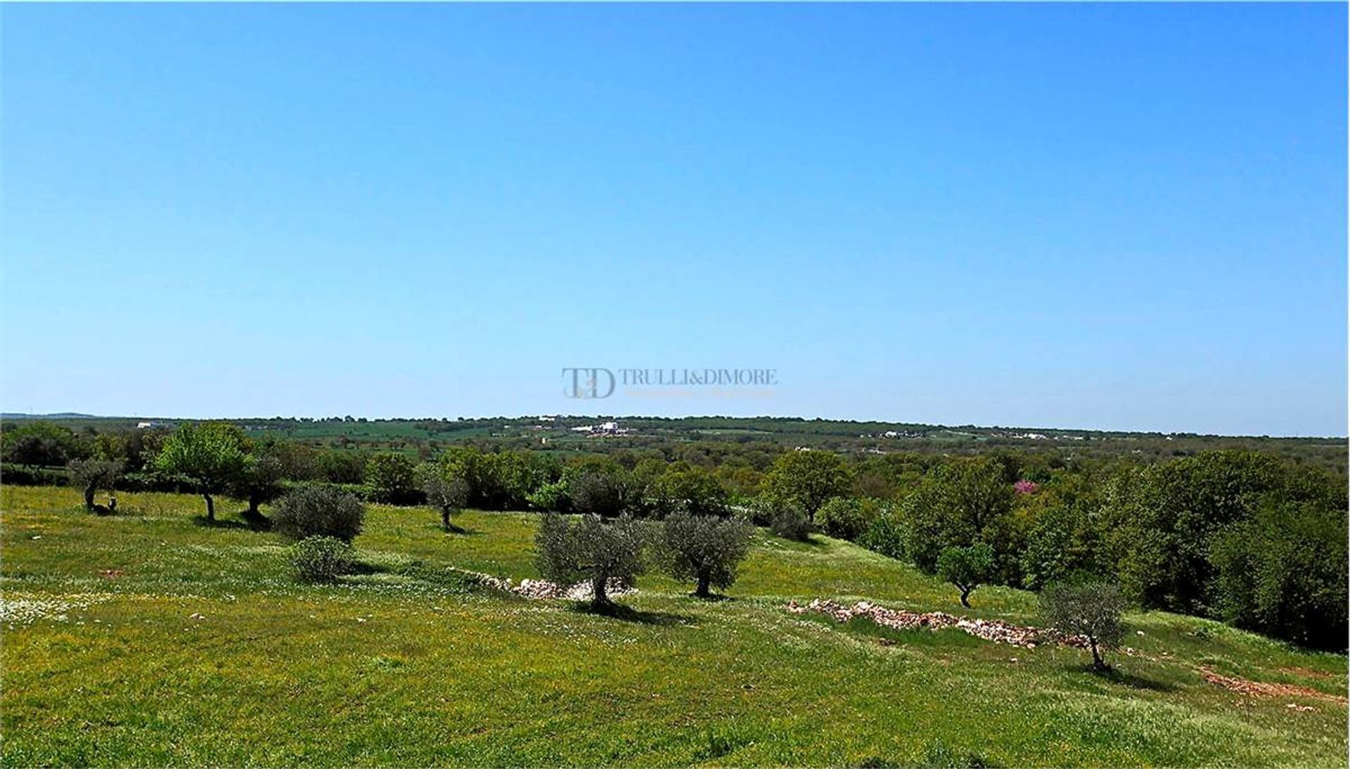 קוֹנדוֹמִינִיוֹן ב Alberobello, Puglia 10220370