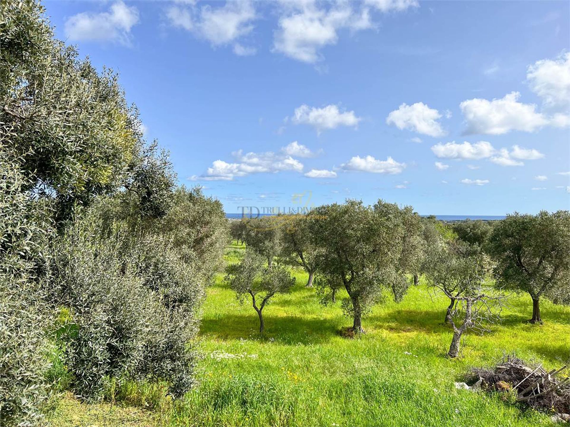 Talo sisään Carovigno, Puglia 10220375