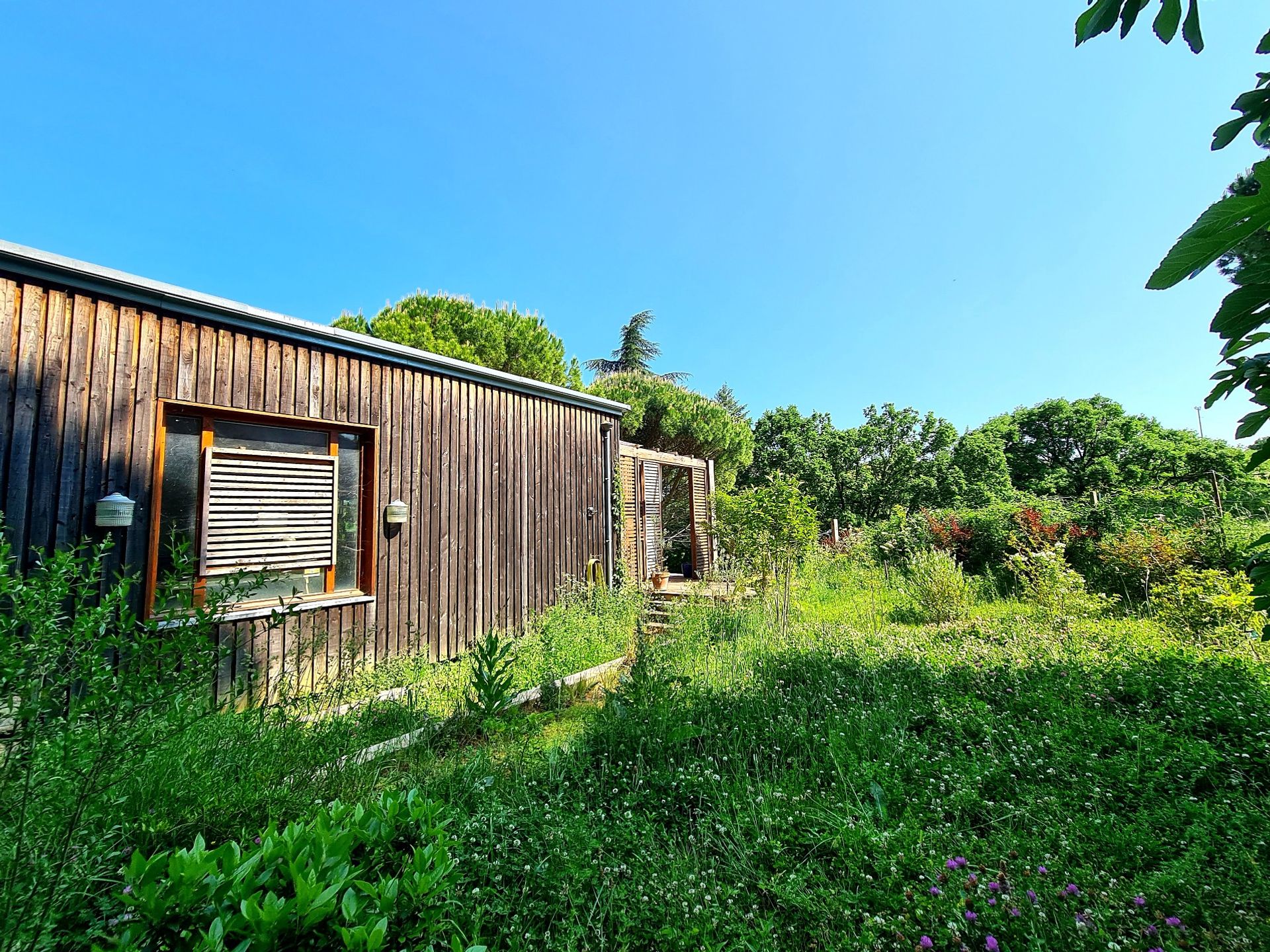 House in Olonzac, Occitanie 10222965