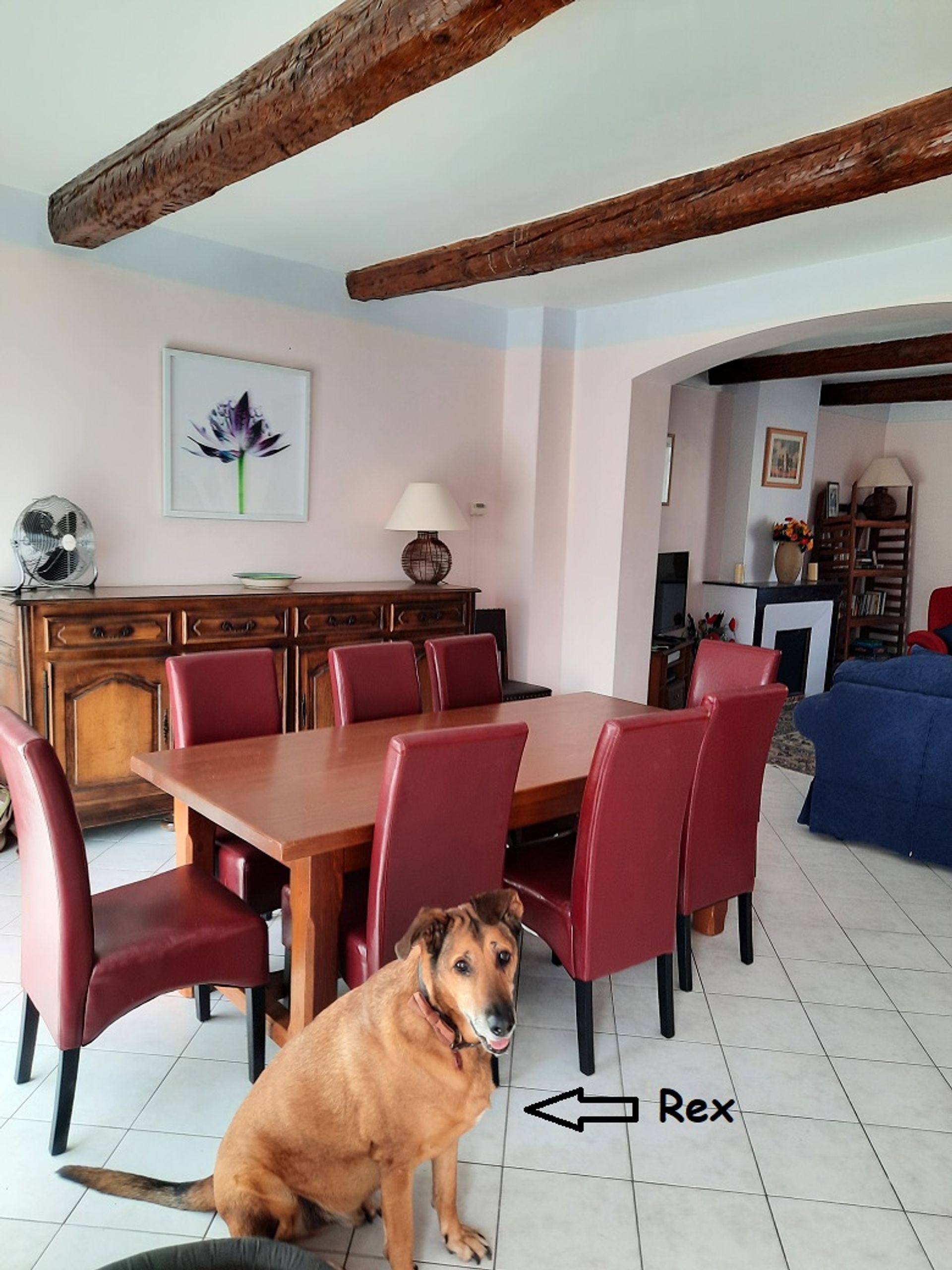 Huis in Lamalou-les-Bains, Occitanie 10223902