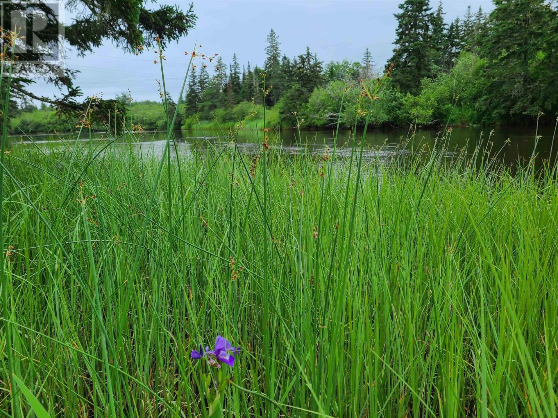 Tanah di Pelabuhan Hawkesbury, Nova Scotia 10224122