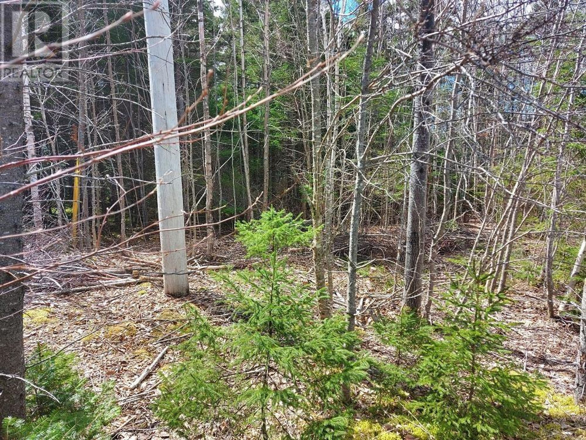 Maa sisään Baddeck, Nova Scotia 10224130