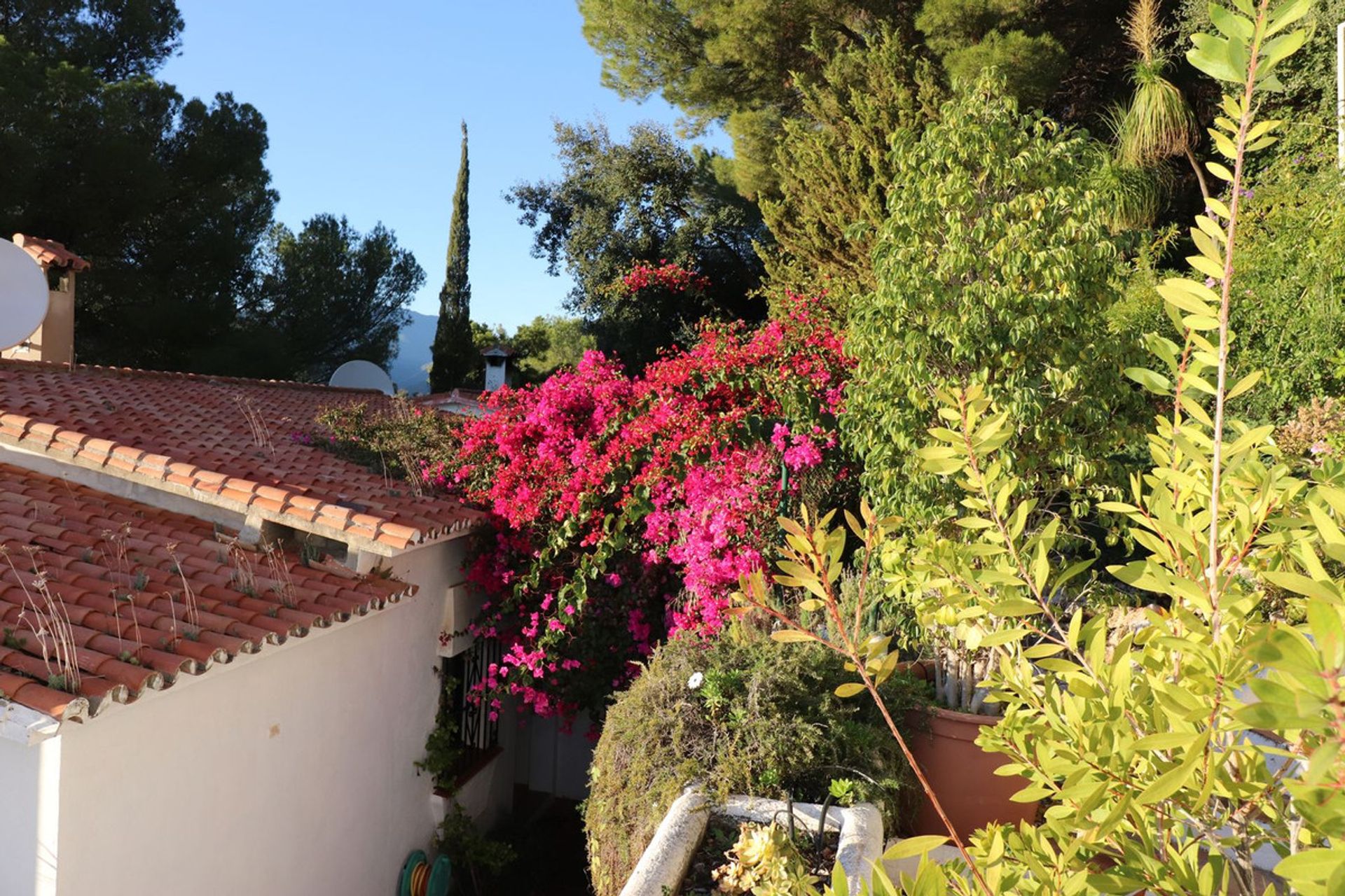 Huis in Istan, Andalusië 10224284