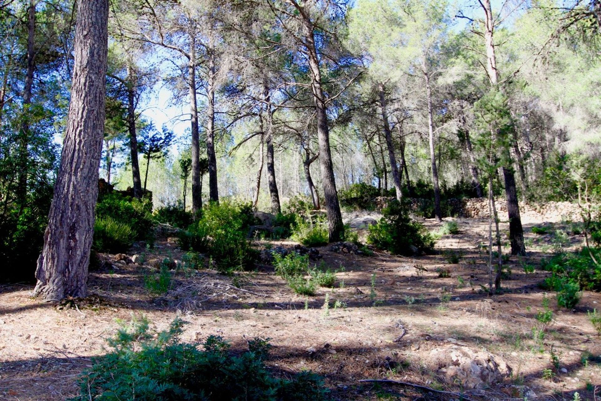 Hus i Sant Llorenç de Balàfia, Illes Balears 10224292