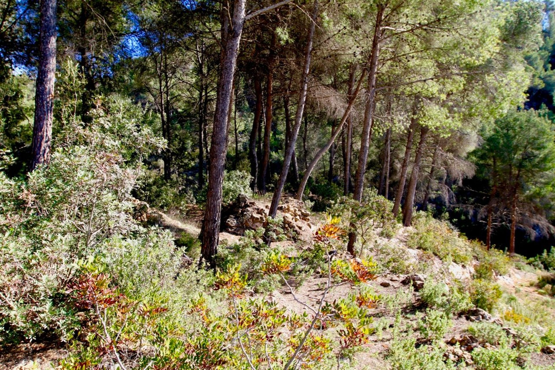 Hus i Sant Llorenç de Balàfia, Illes Balears 10224292