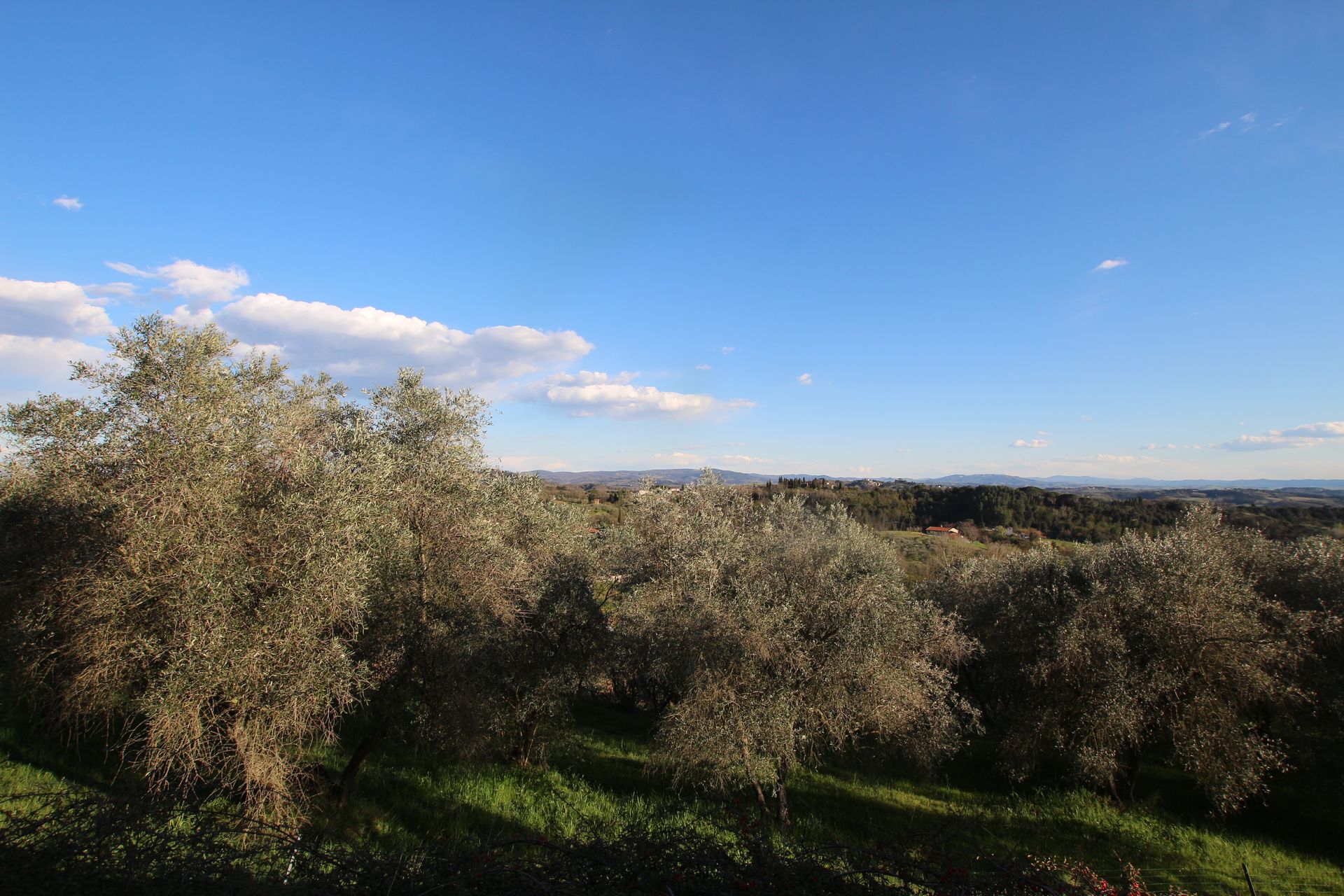 Casa nel Pisa, Toscana 10224648