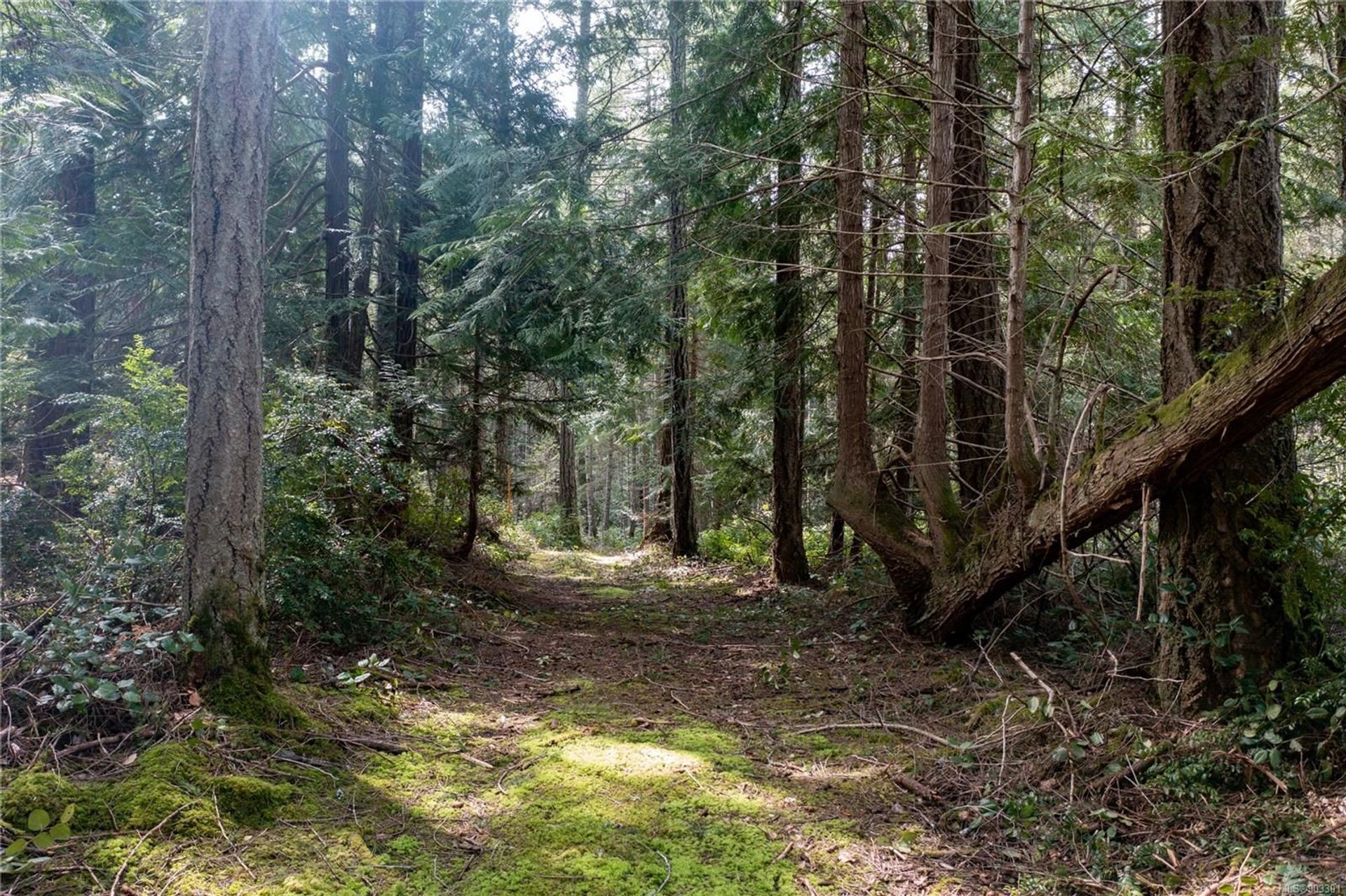 Земля в , British Columbia 10224762