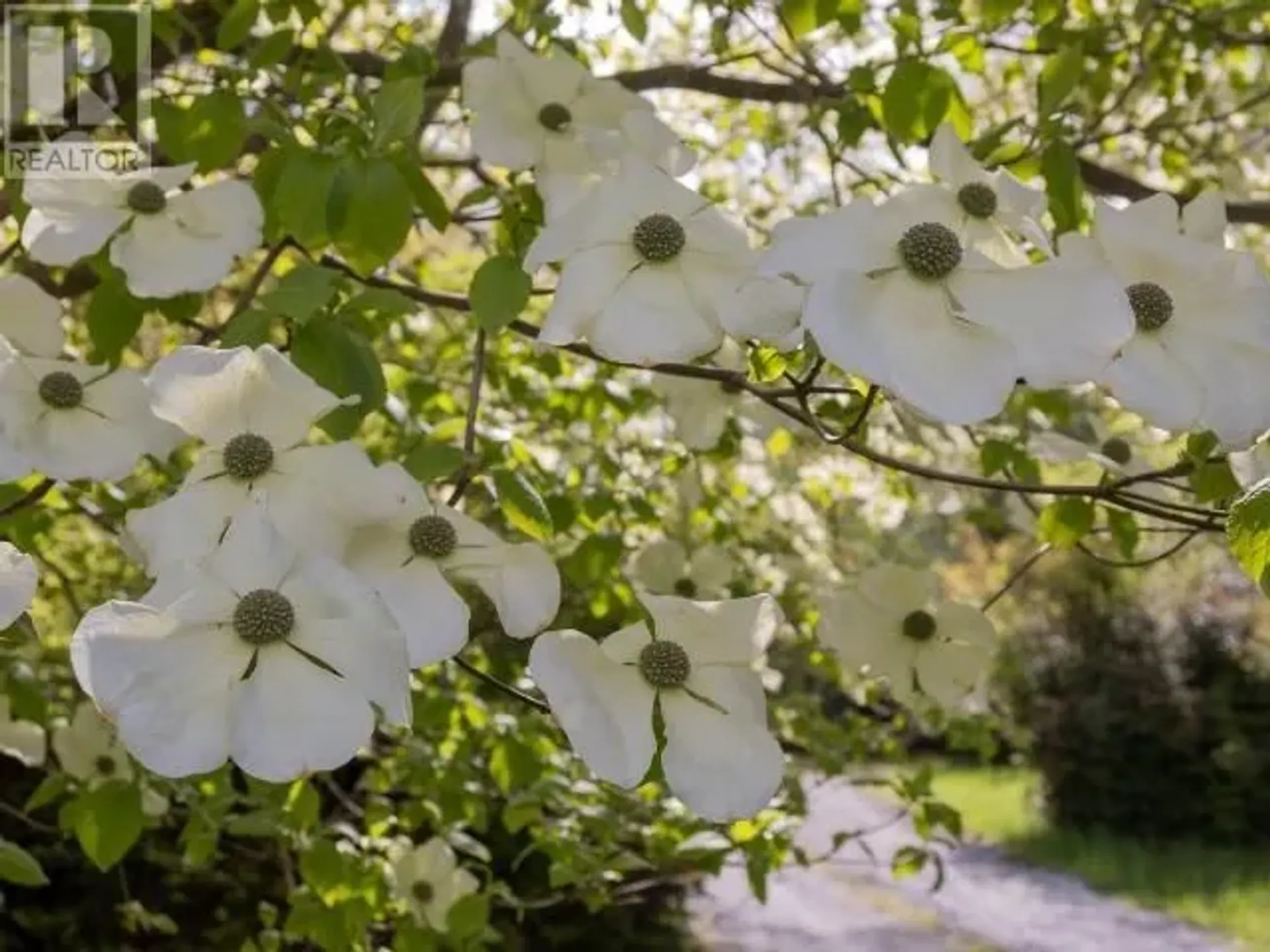 Кондоминиум в Madeira Park, British Columbia 10224871