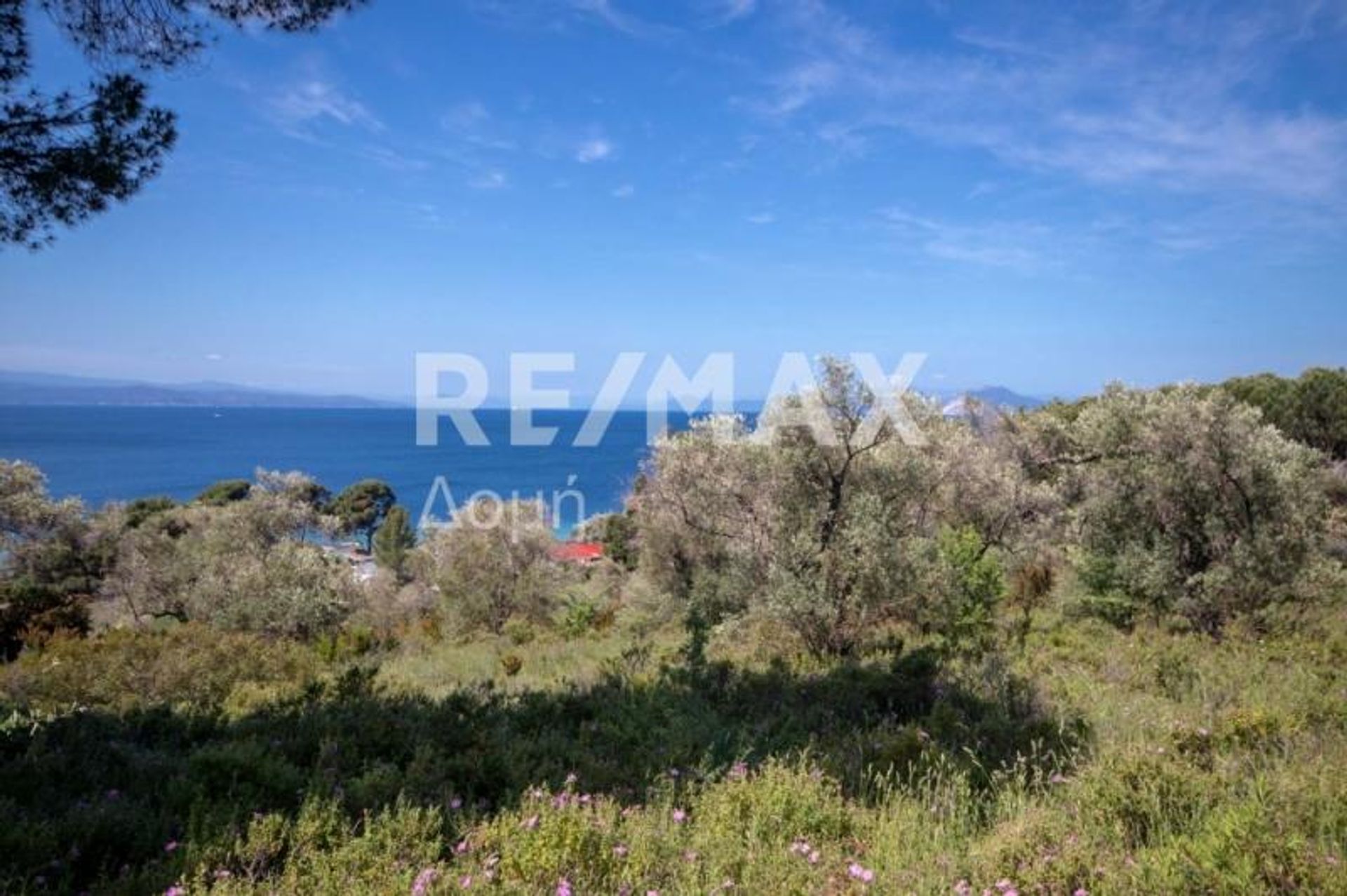 Condominium in Skiathos, Thessalia 10225159