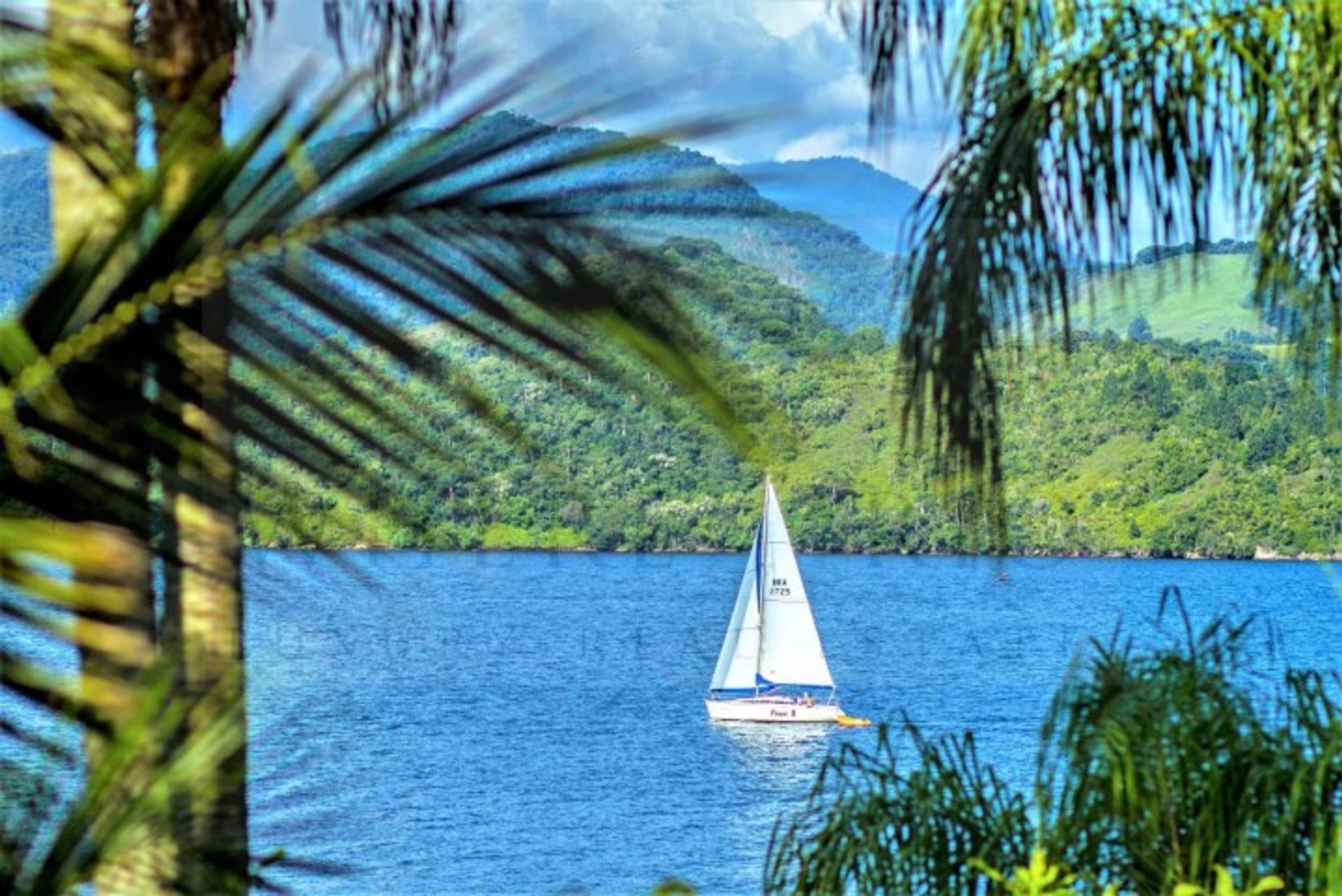 भूमि में Angra dos Reis, Rio de Janeiro 10225312