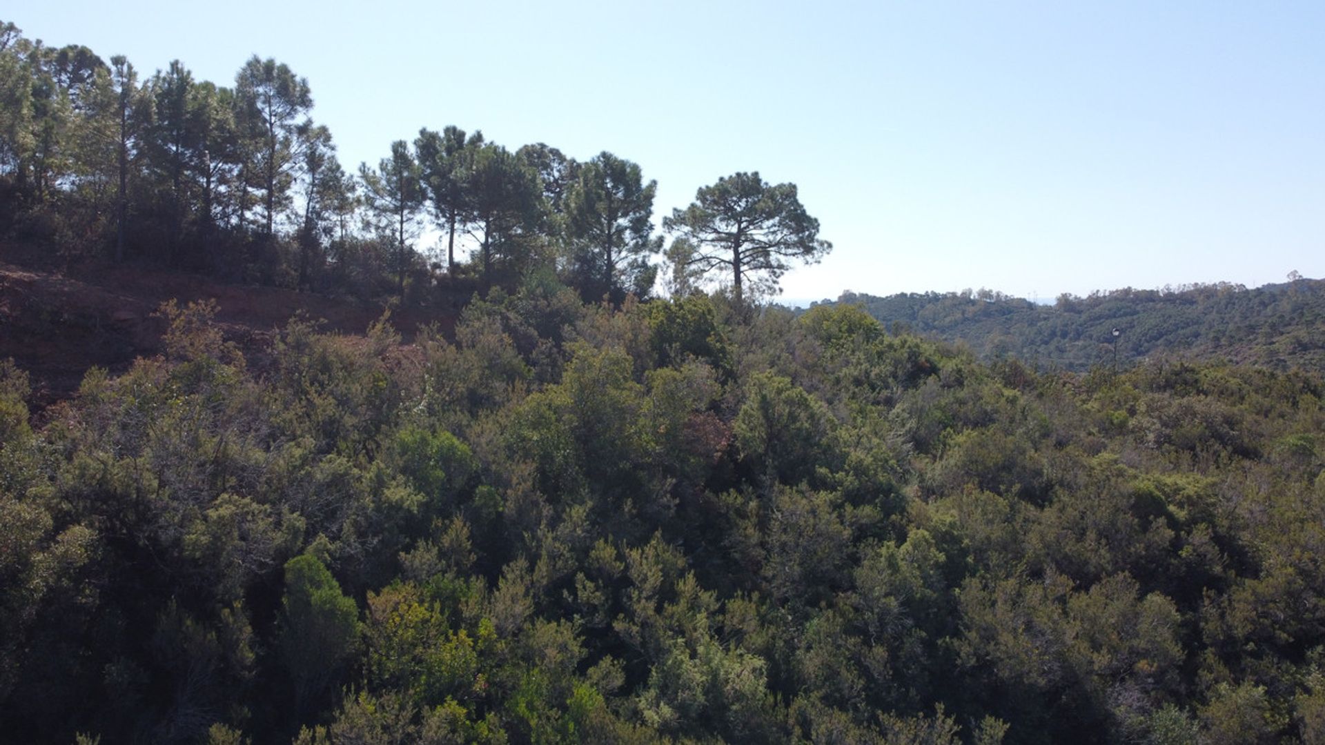 Land in Benahavís, Andalusia 10225566