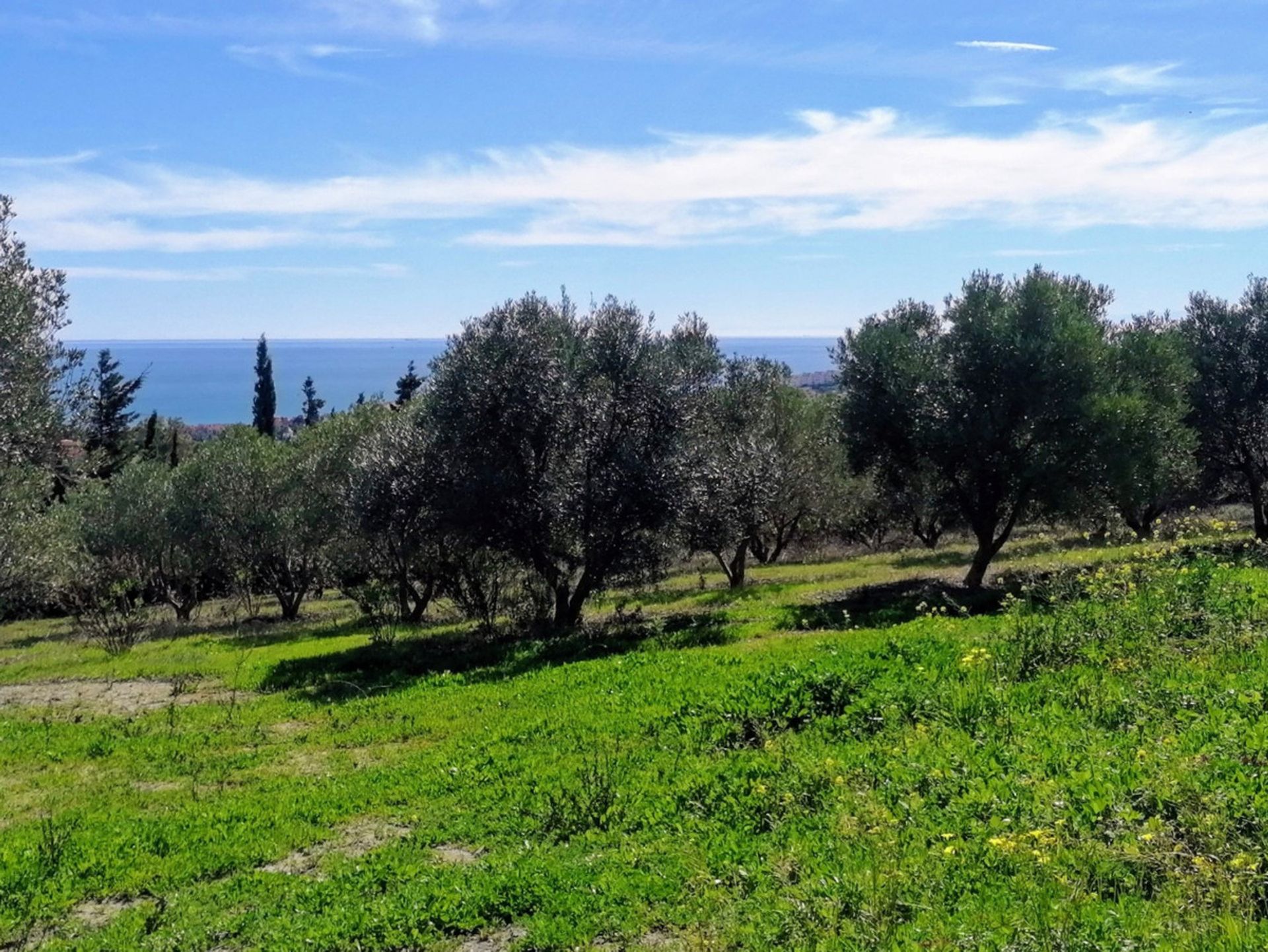 Hus i Casares, Andalusia 10225601