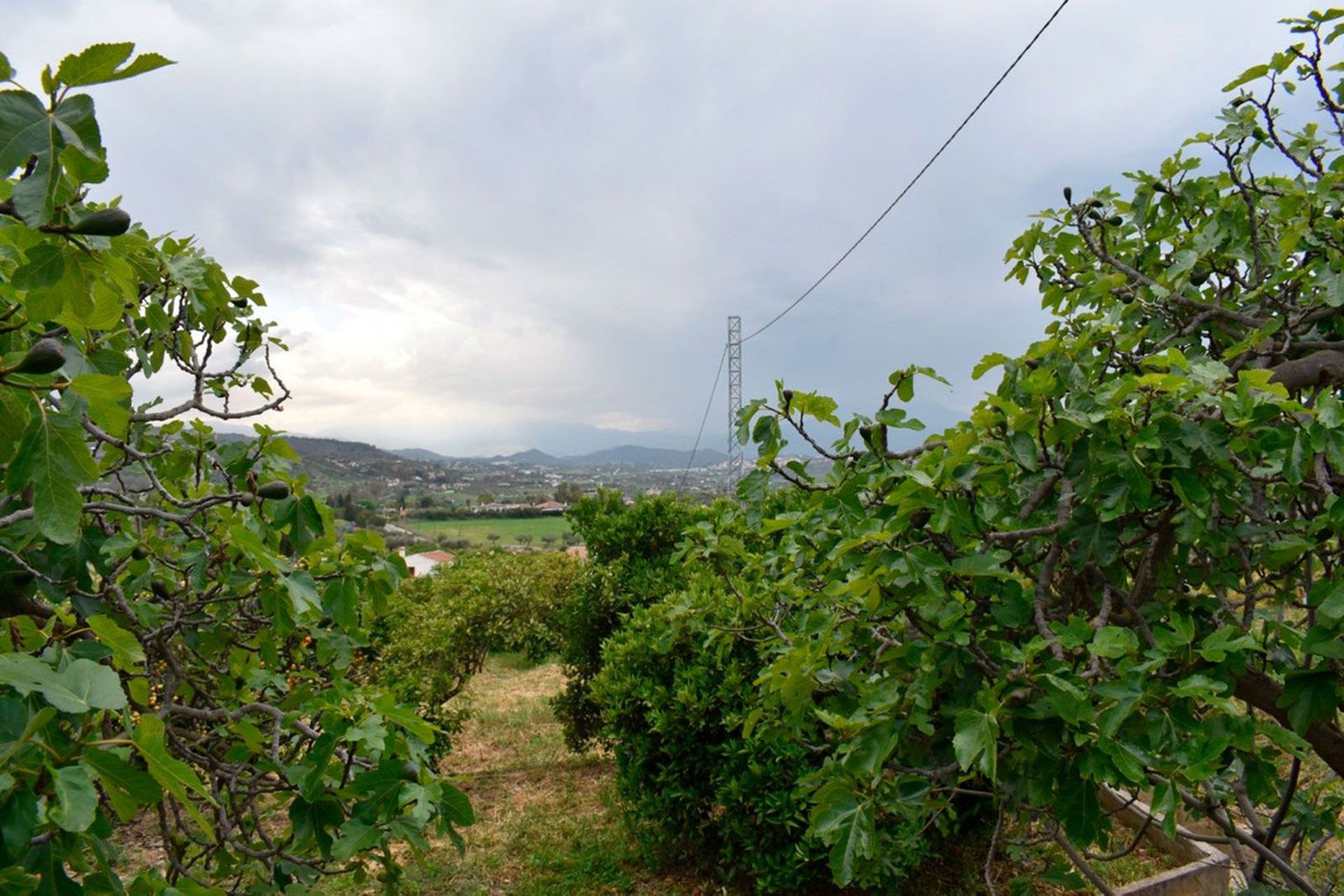 Будинок в Alhaurín el Grande, Andalusia 10226839