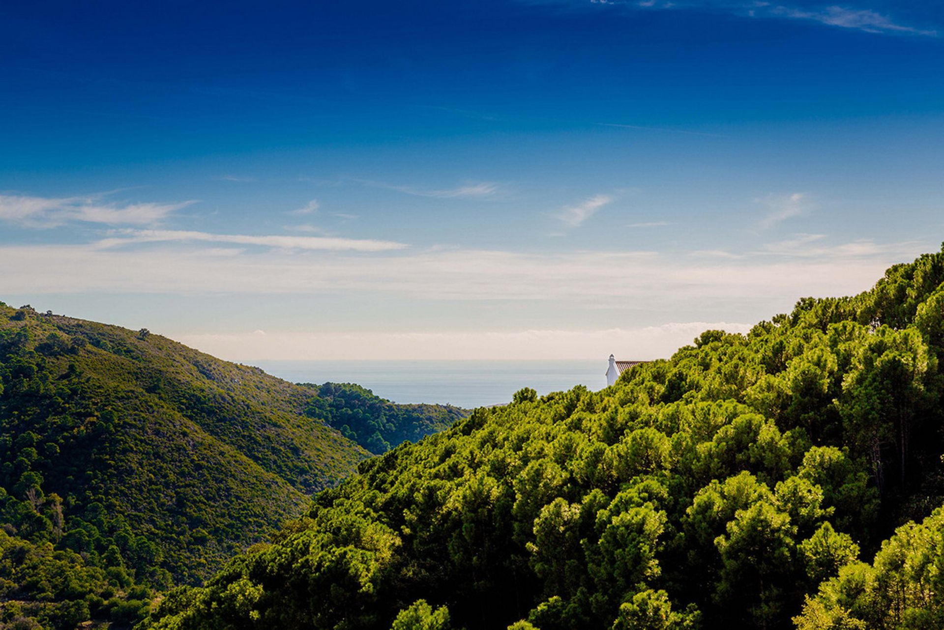 Земельные участки в Benahavís, Andalucía 10226939