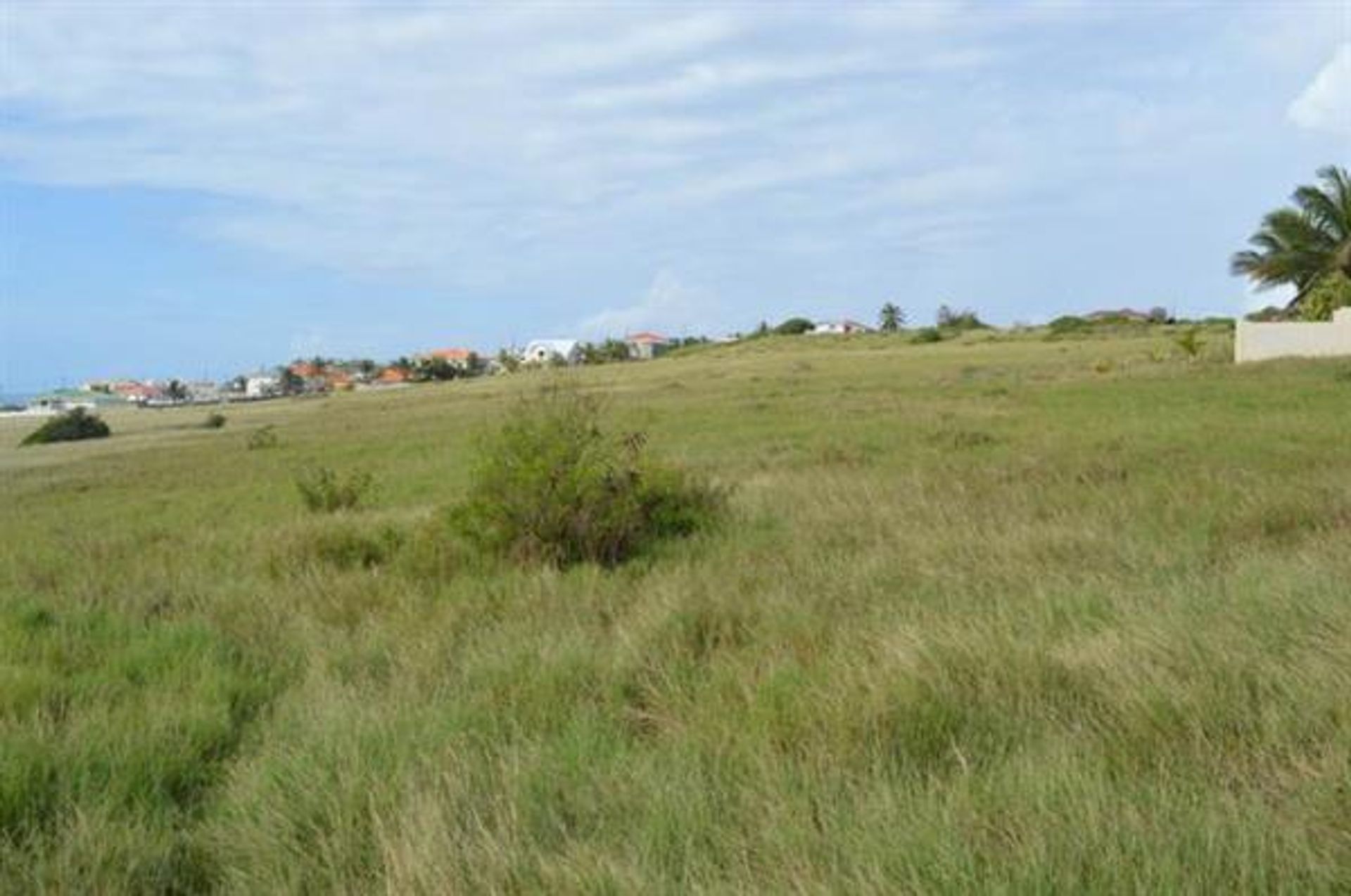 Land in Oldbury, Saint Philip 10226989