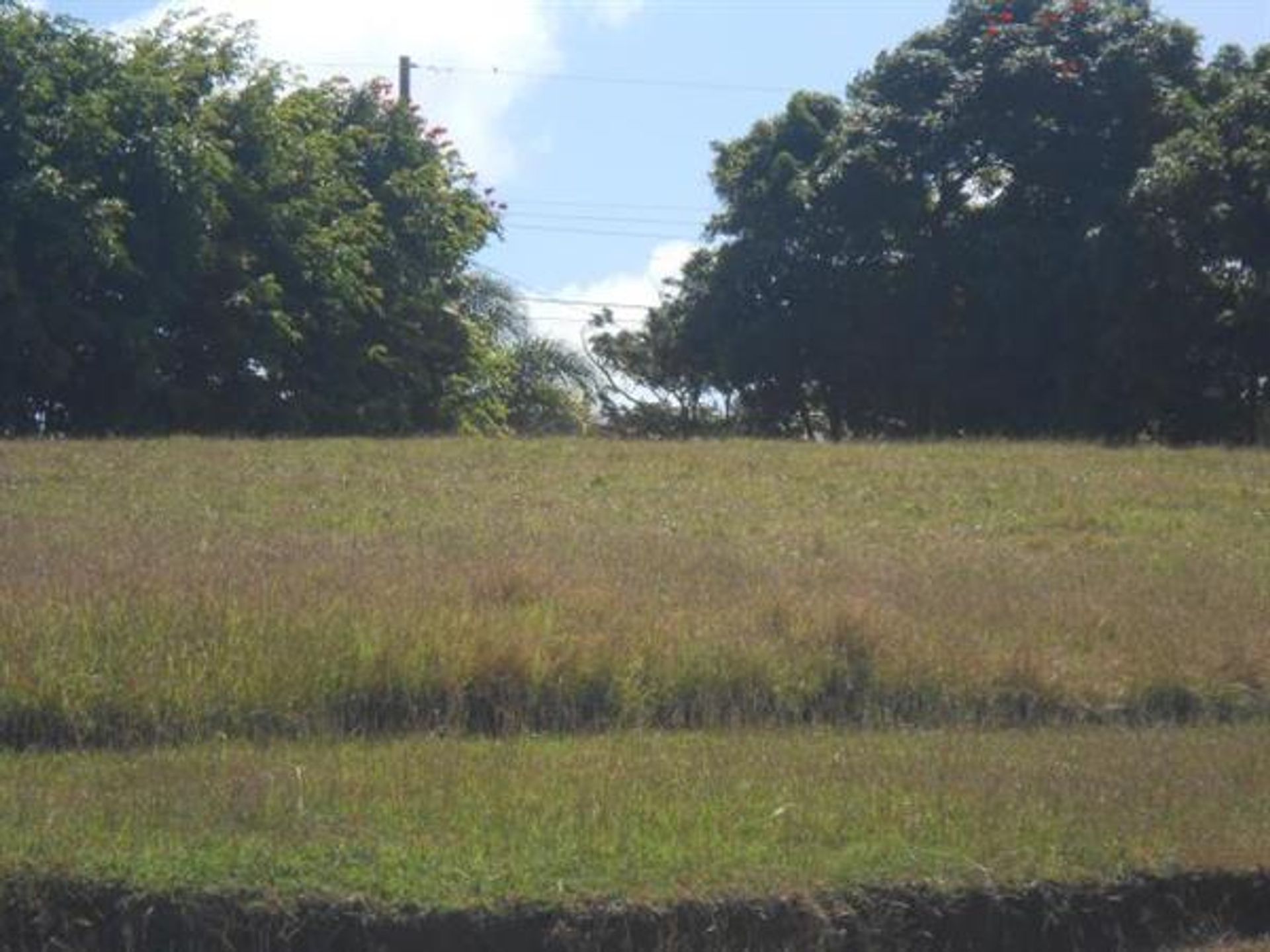 Land in Mose Bottom, Saint Andrew 10227003