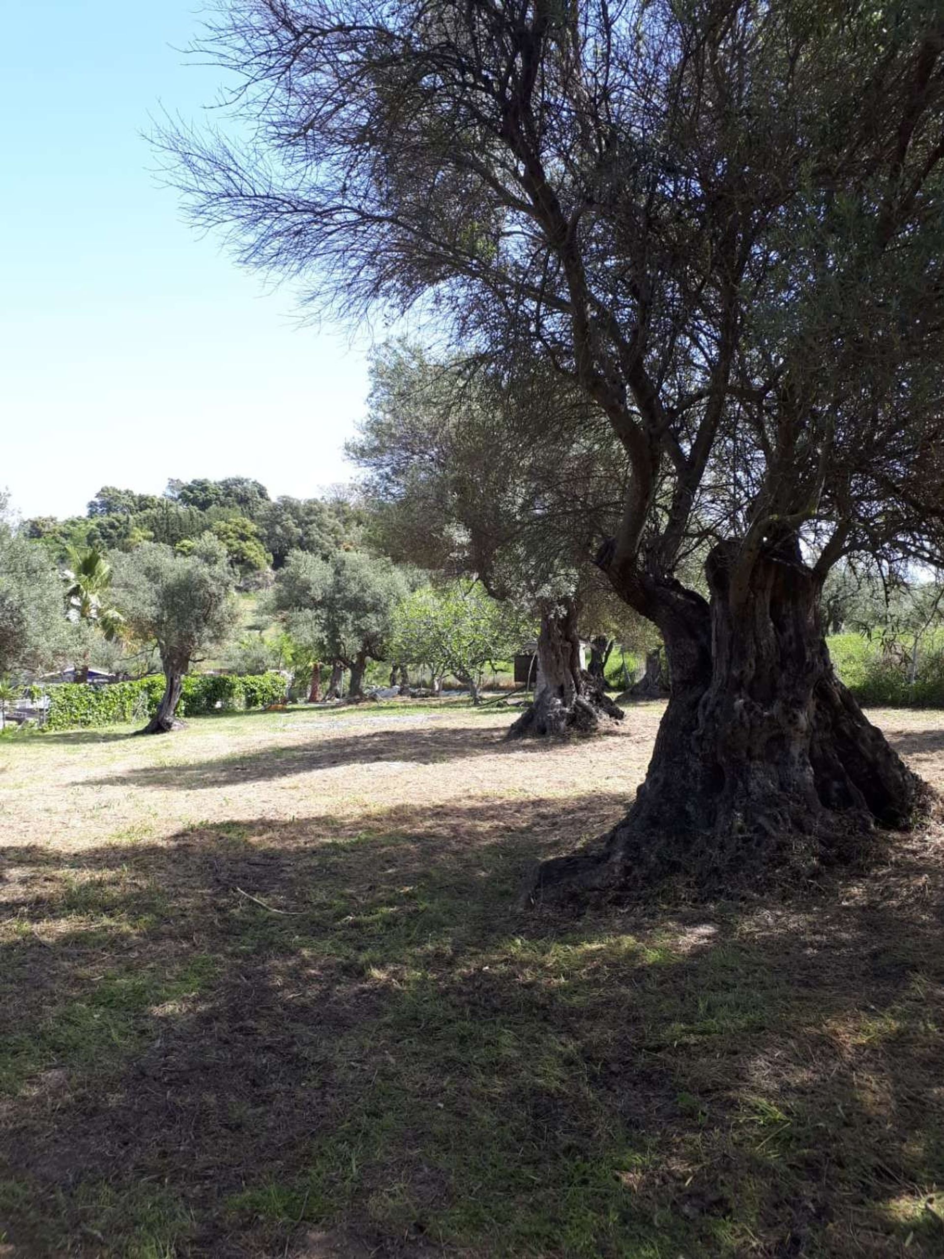 loger dans Coín, Andalusia 10227141