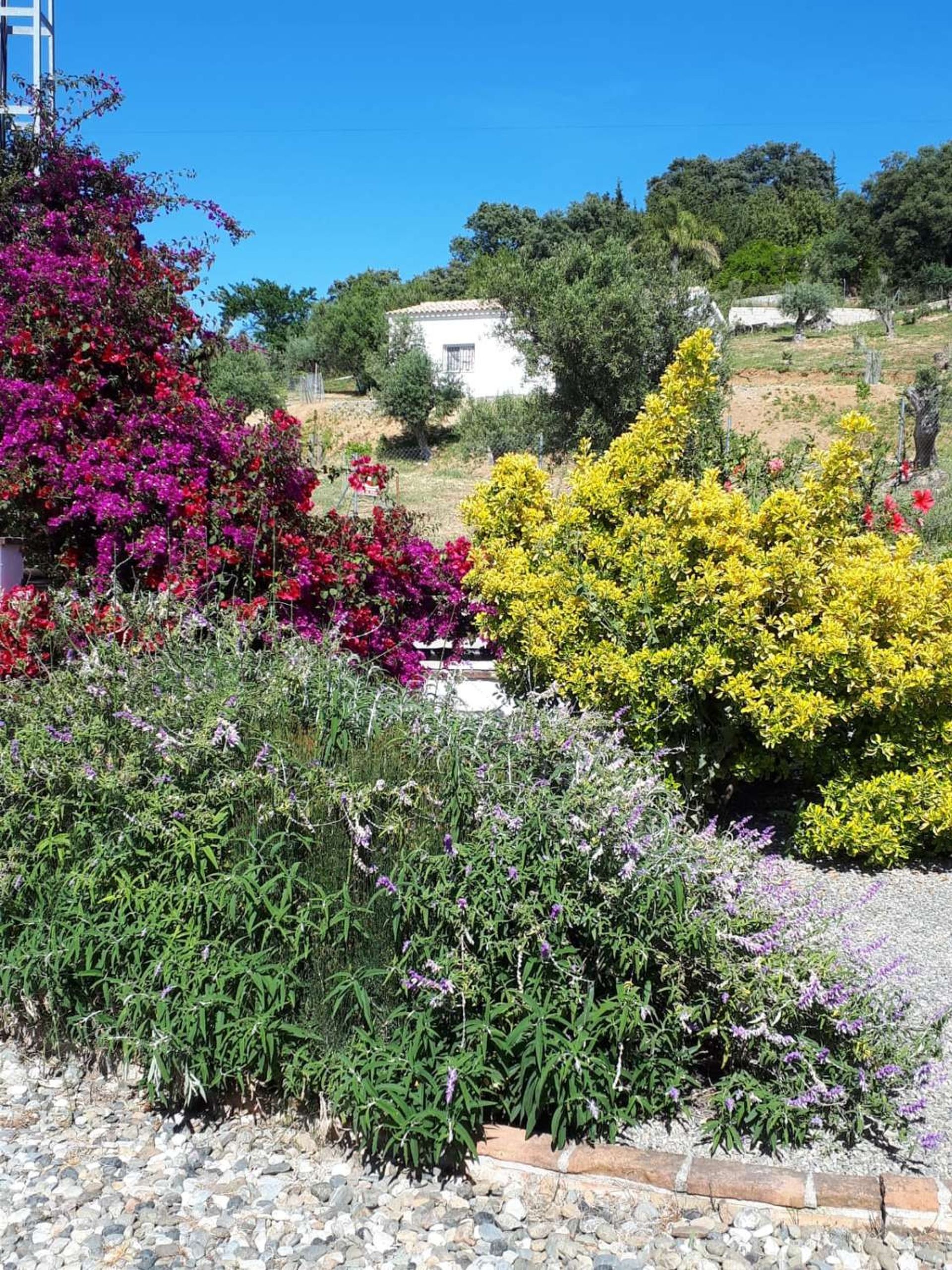 loger dans Coín, Andalusia 10227141