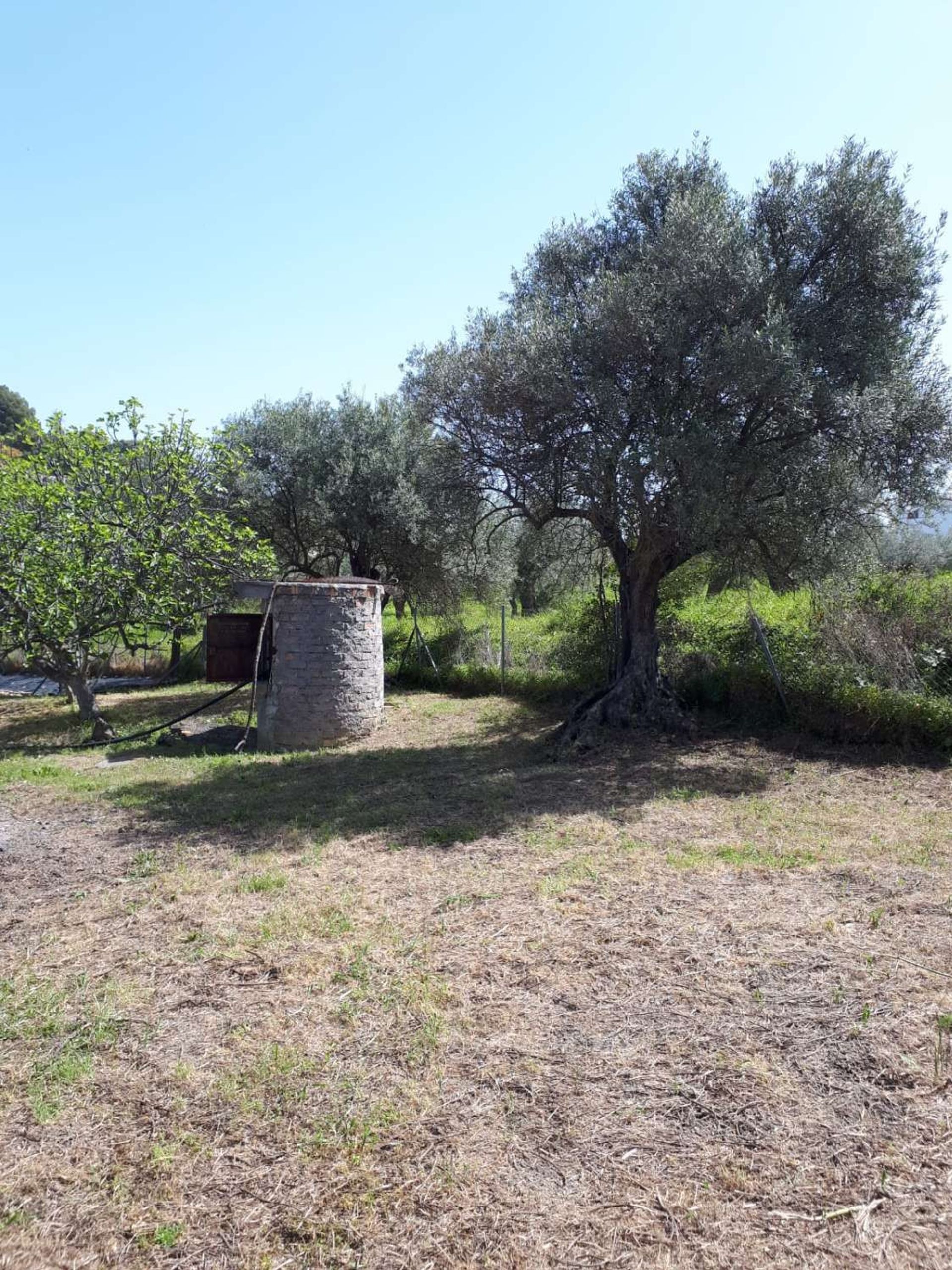 loger dans Coín, Andalusia 10227141