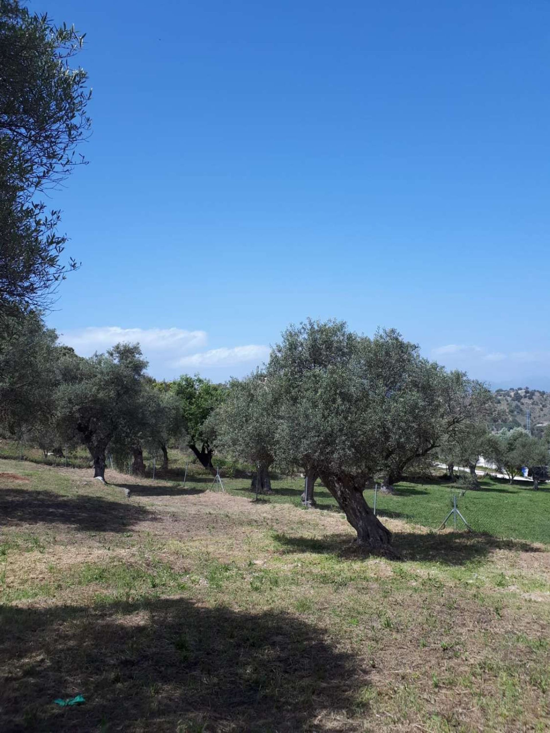 loger dans Coín, Andalusia 10227141