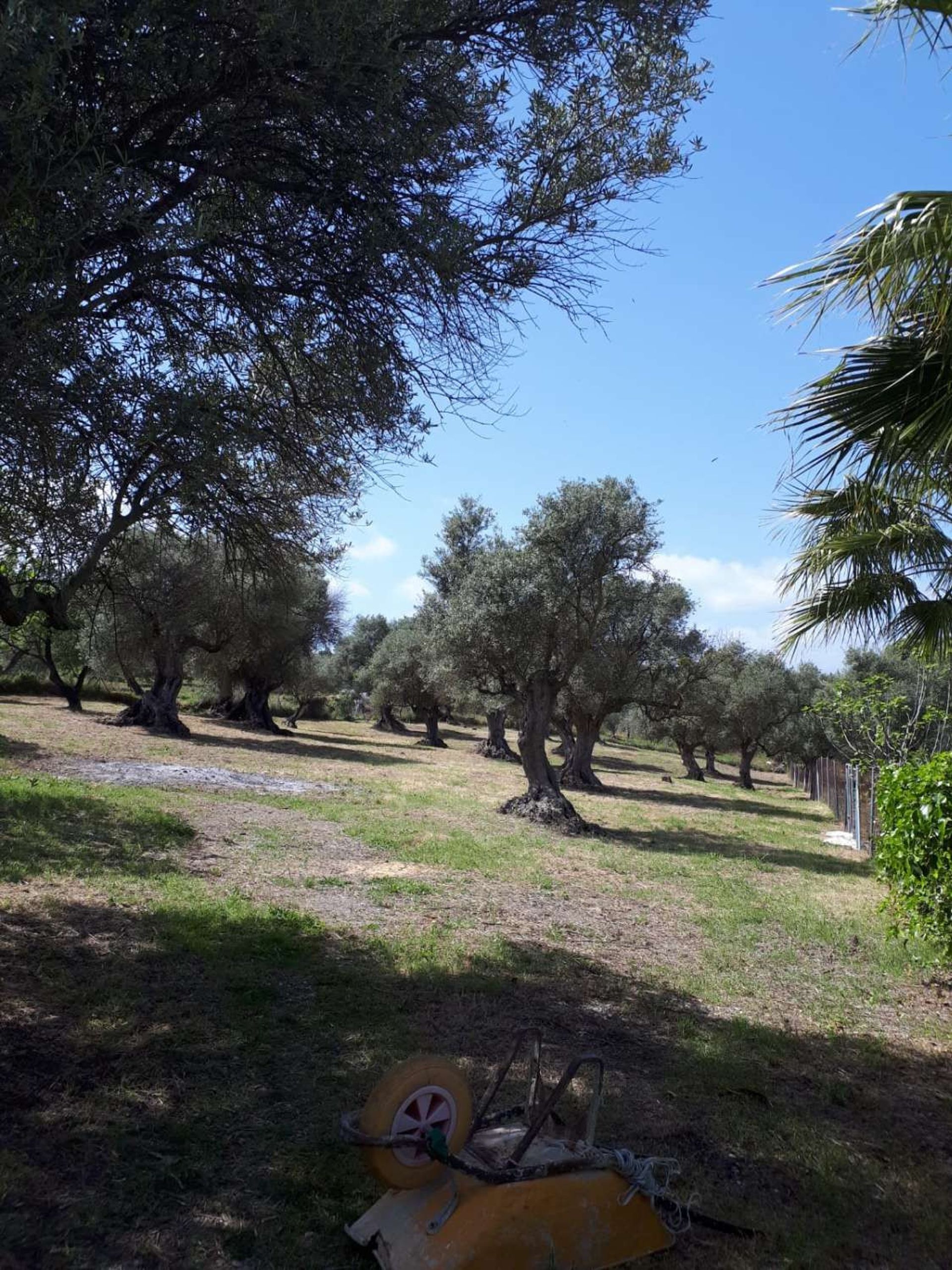 loger dans Coín, Andalusia 10227141