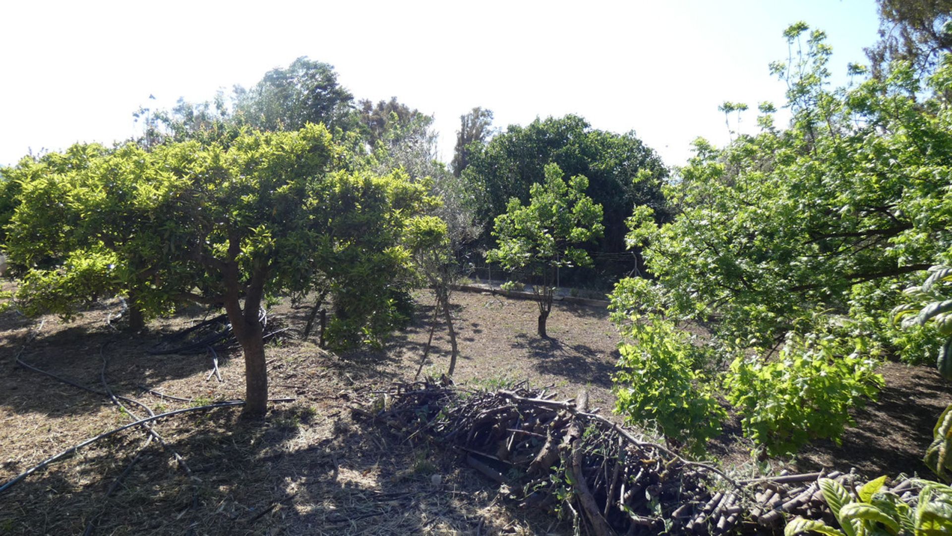 Hus i Coín, Andalusia 10227156