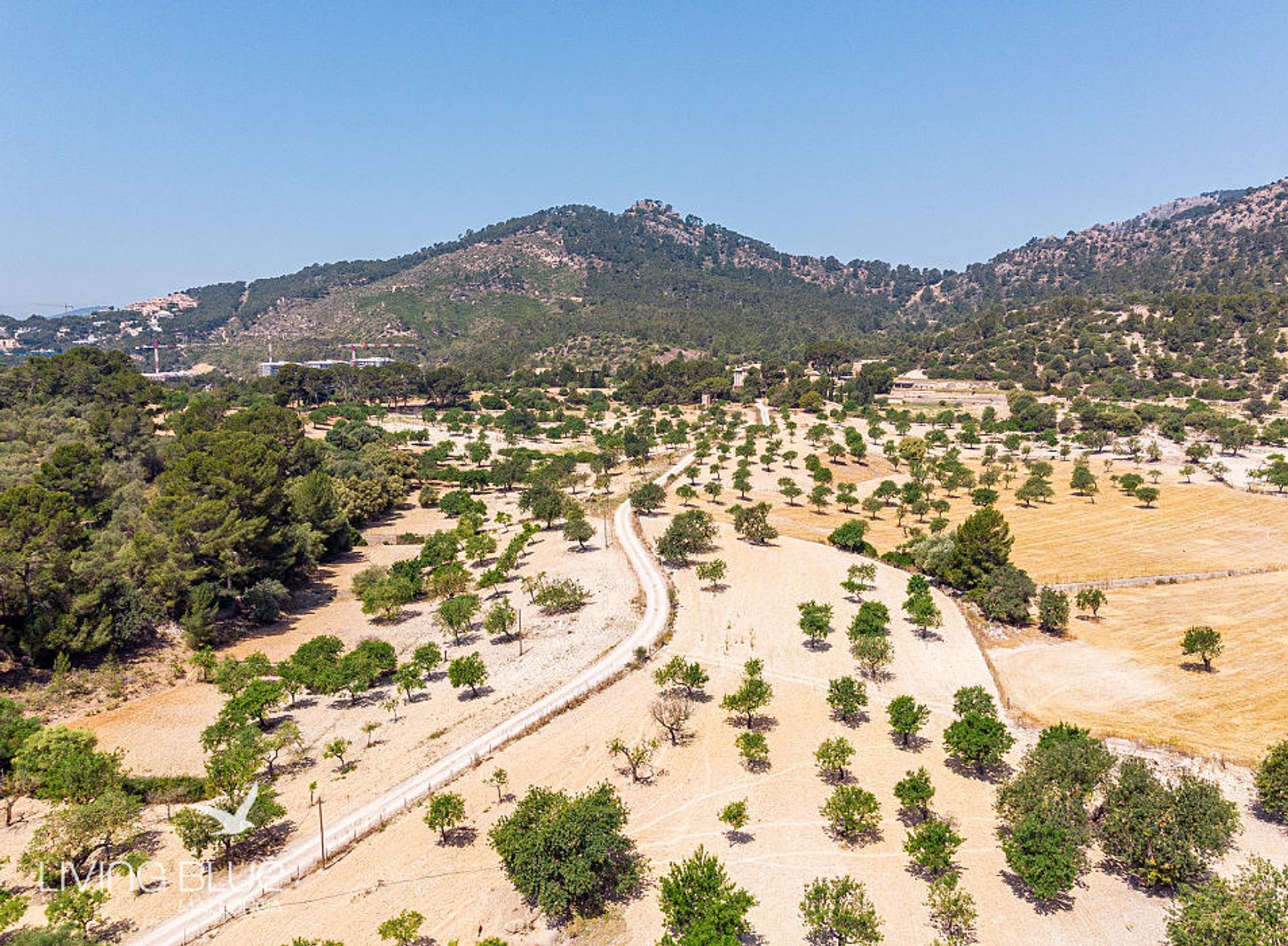 土地 在 Calvià, Balearic Islands 10230014