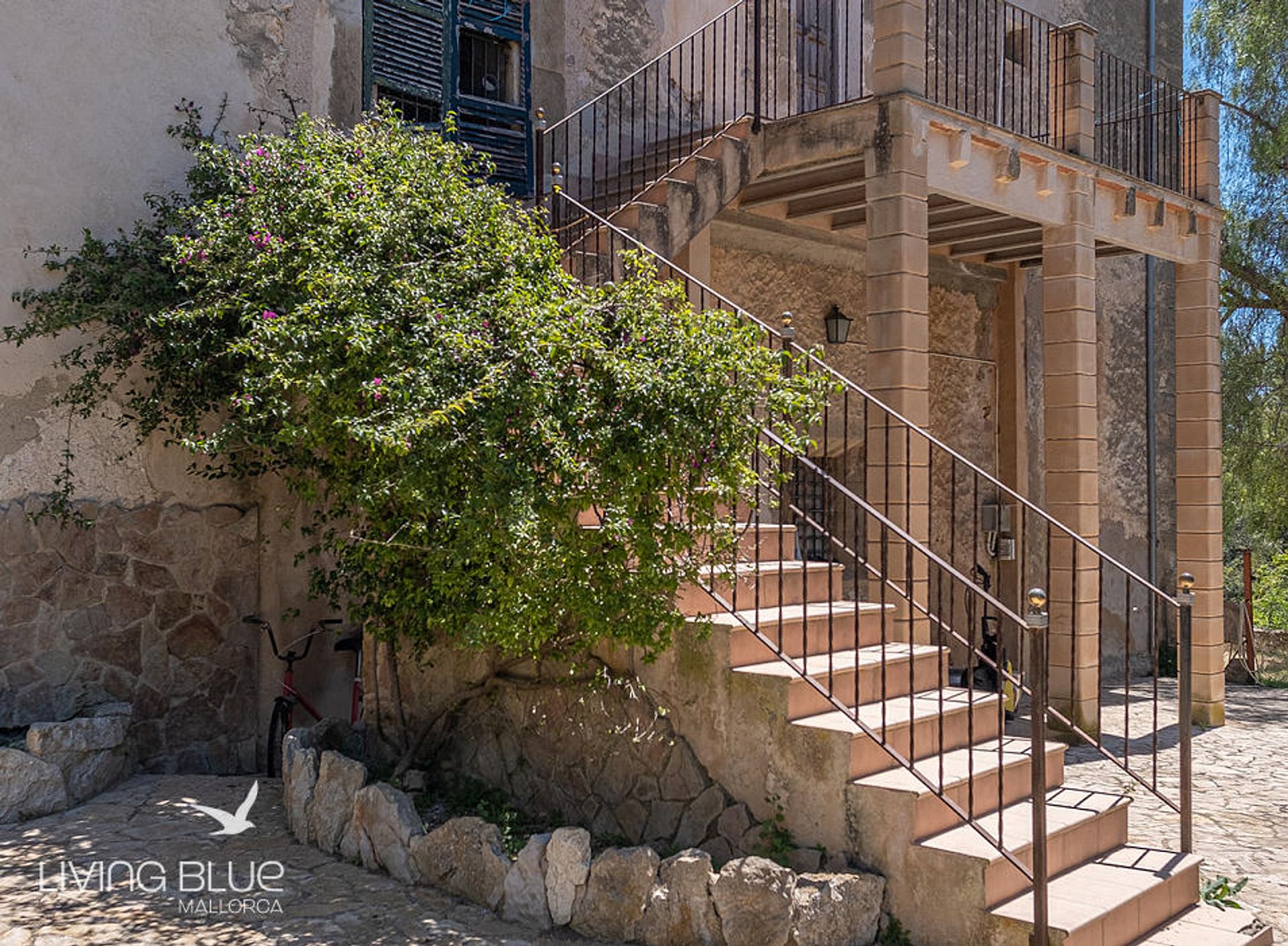 Terre dans Calvià, Balearic Islands 10230014