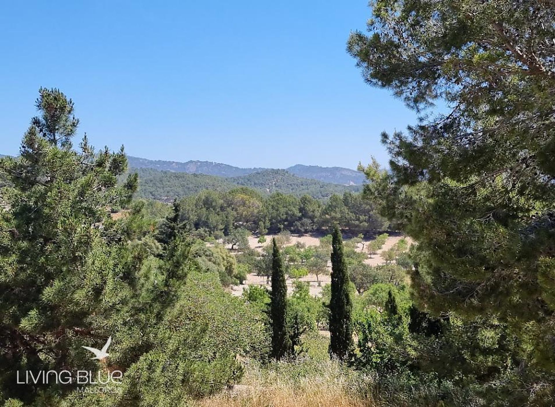 Terre dans Calvià, Balearic Islands 10230014