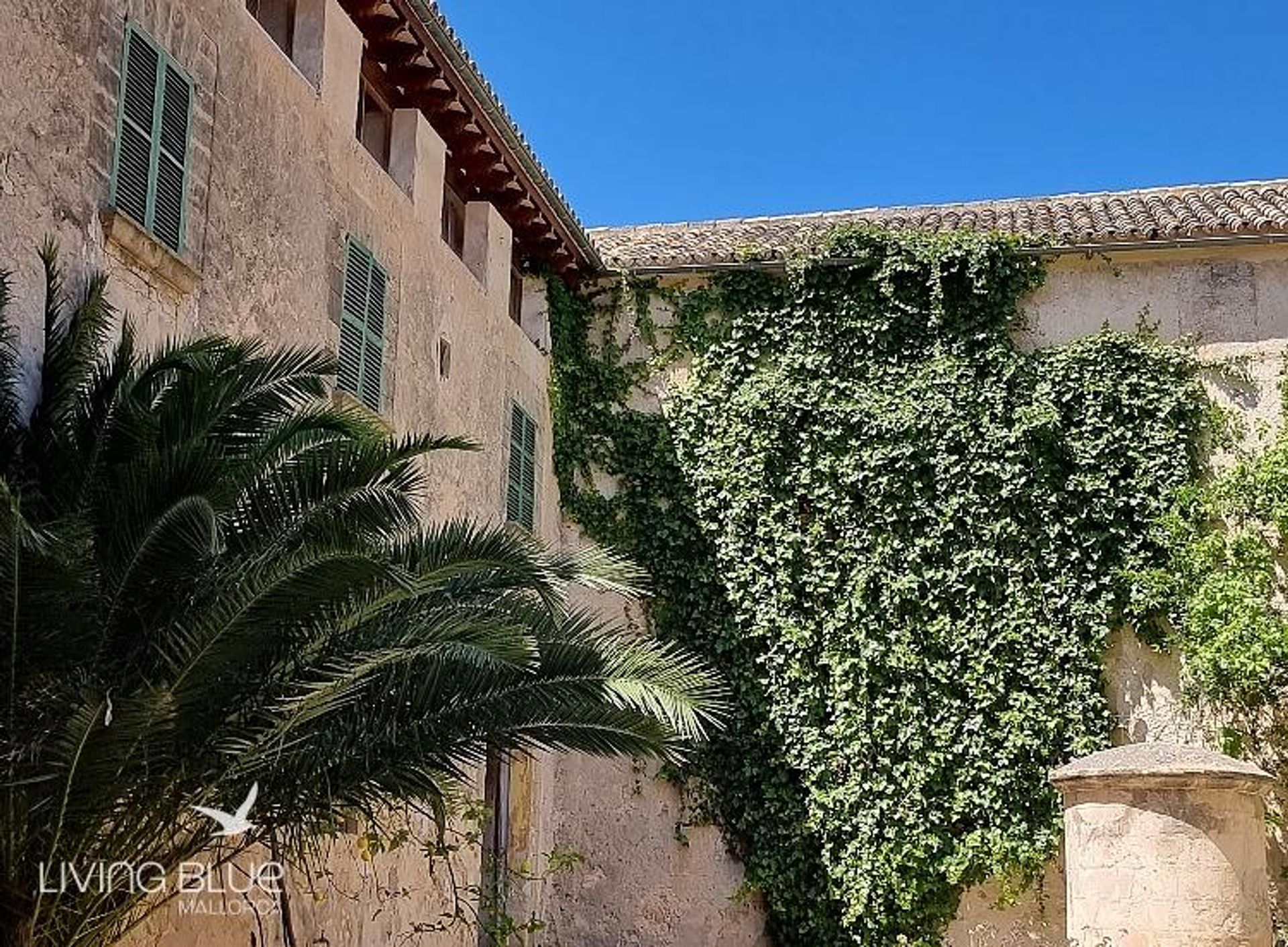 Terre dans Calvià, Balearic Islands 10230014