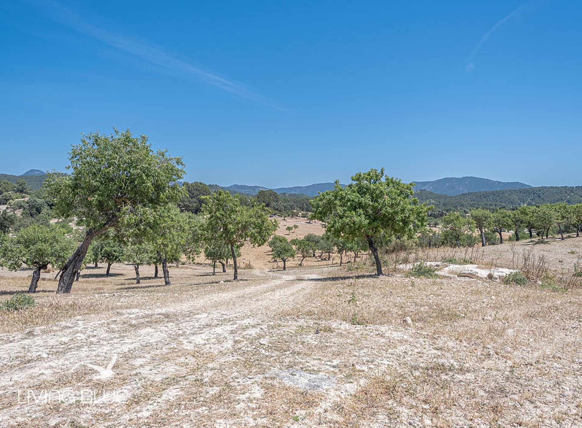 土地 在 Calvià, Balearic Islands 10230014