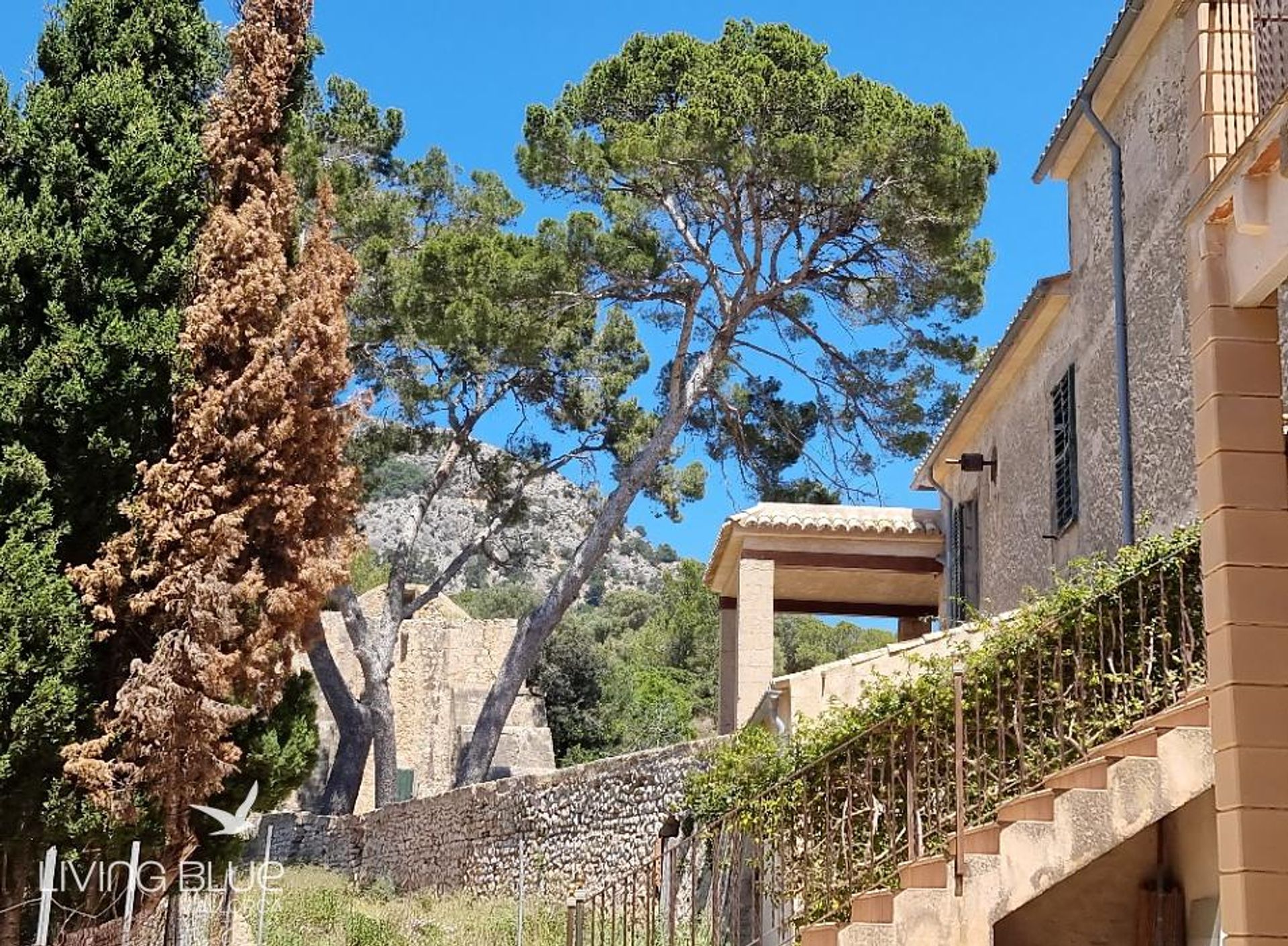 Terre dans Calvià, Balearic Islands 10230014