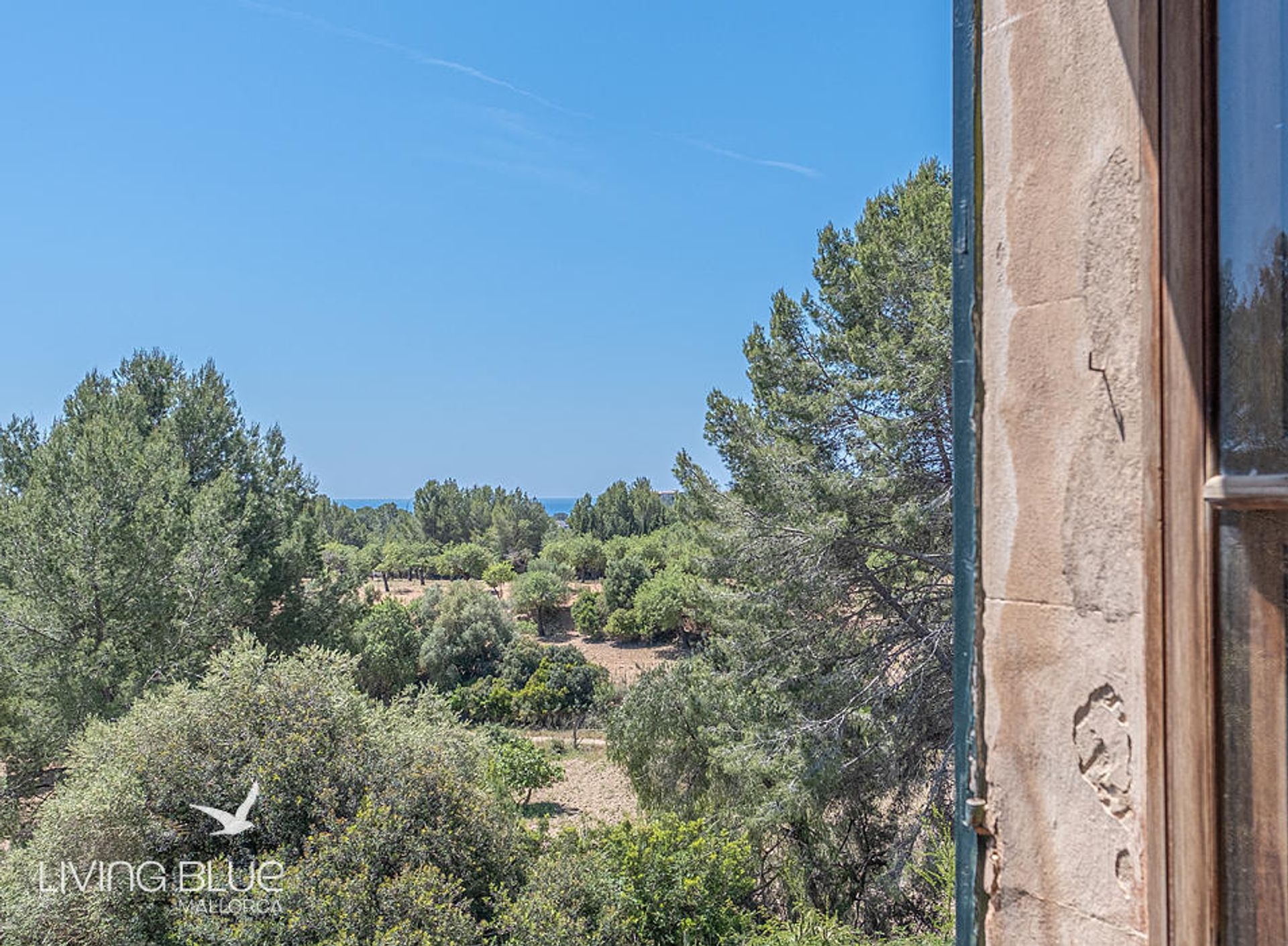 Terre dans Calvià, Balearic Islands 10230014