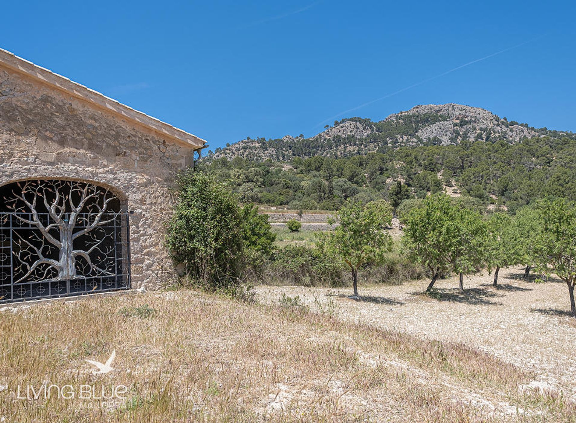 Terre dans Calvià, Balearic Islands 10230014