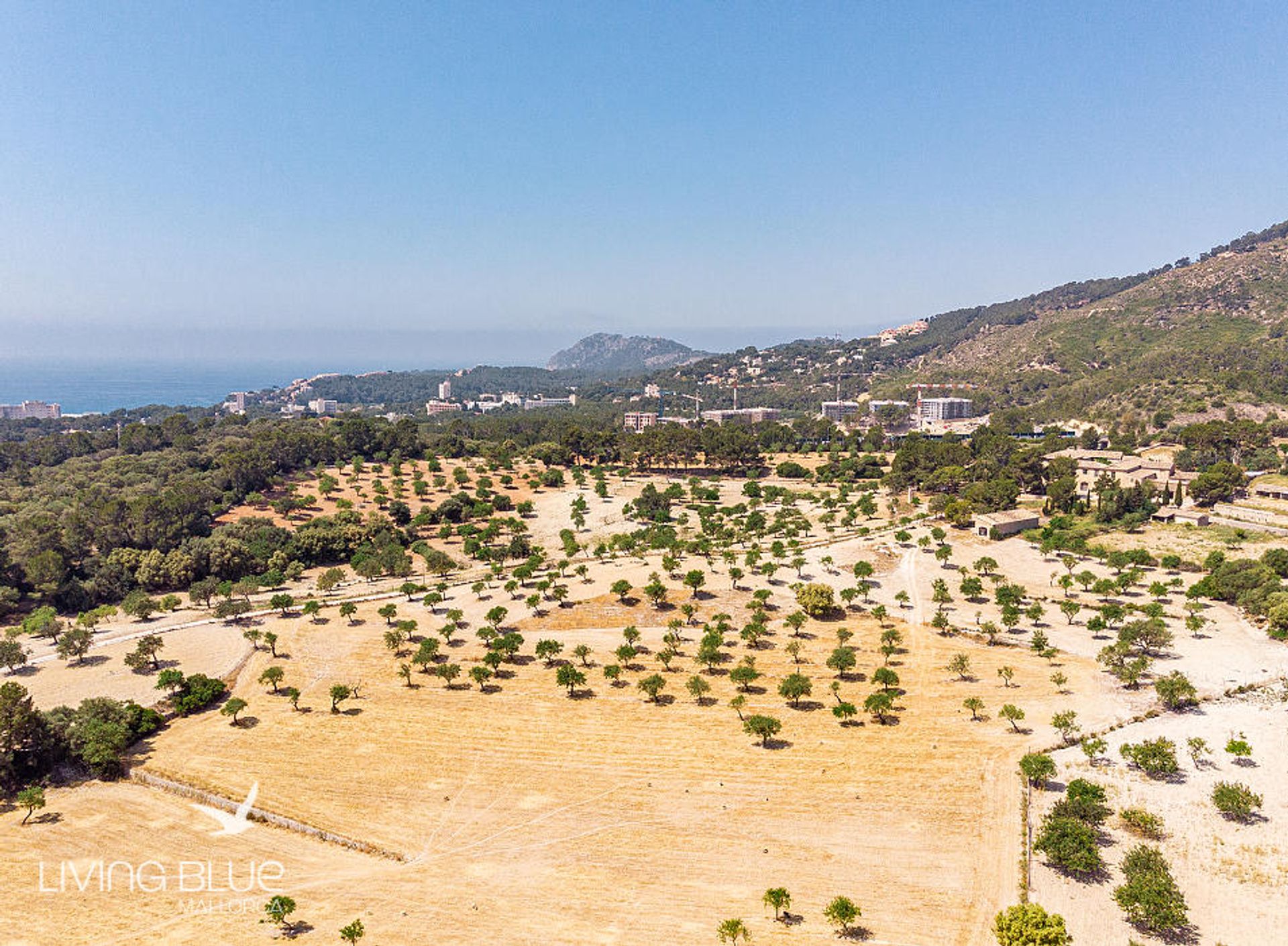 土地 在 Calvià, Balearic Islands 10230014