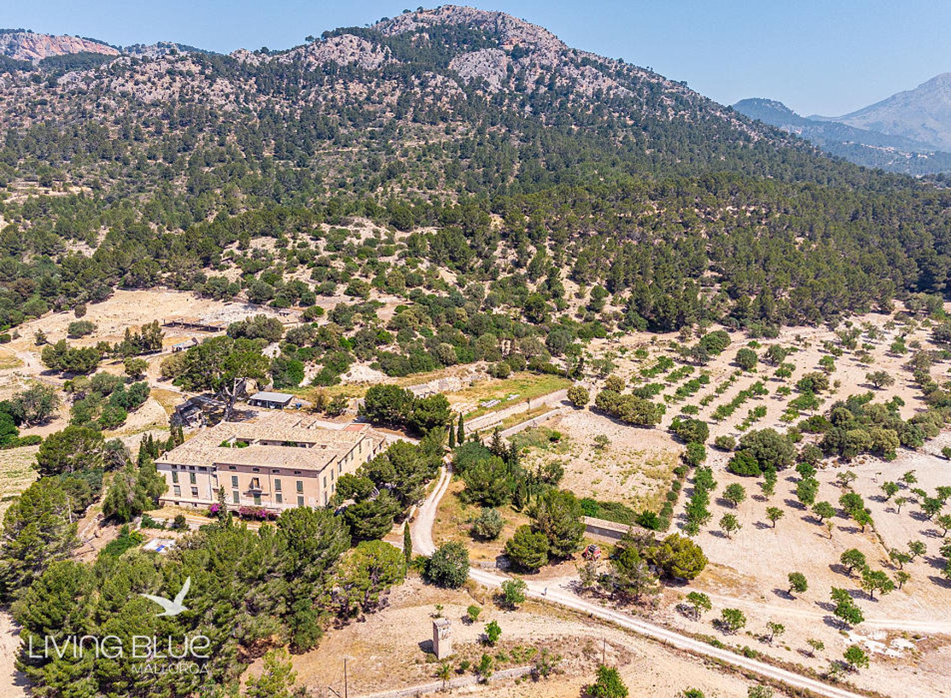 Terre dans Calvià, Balearic Islands 10230014