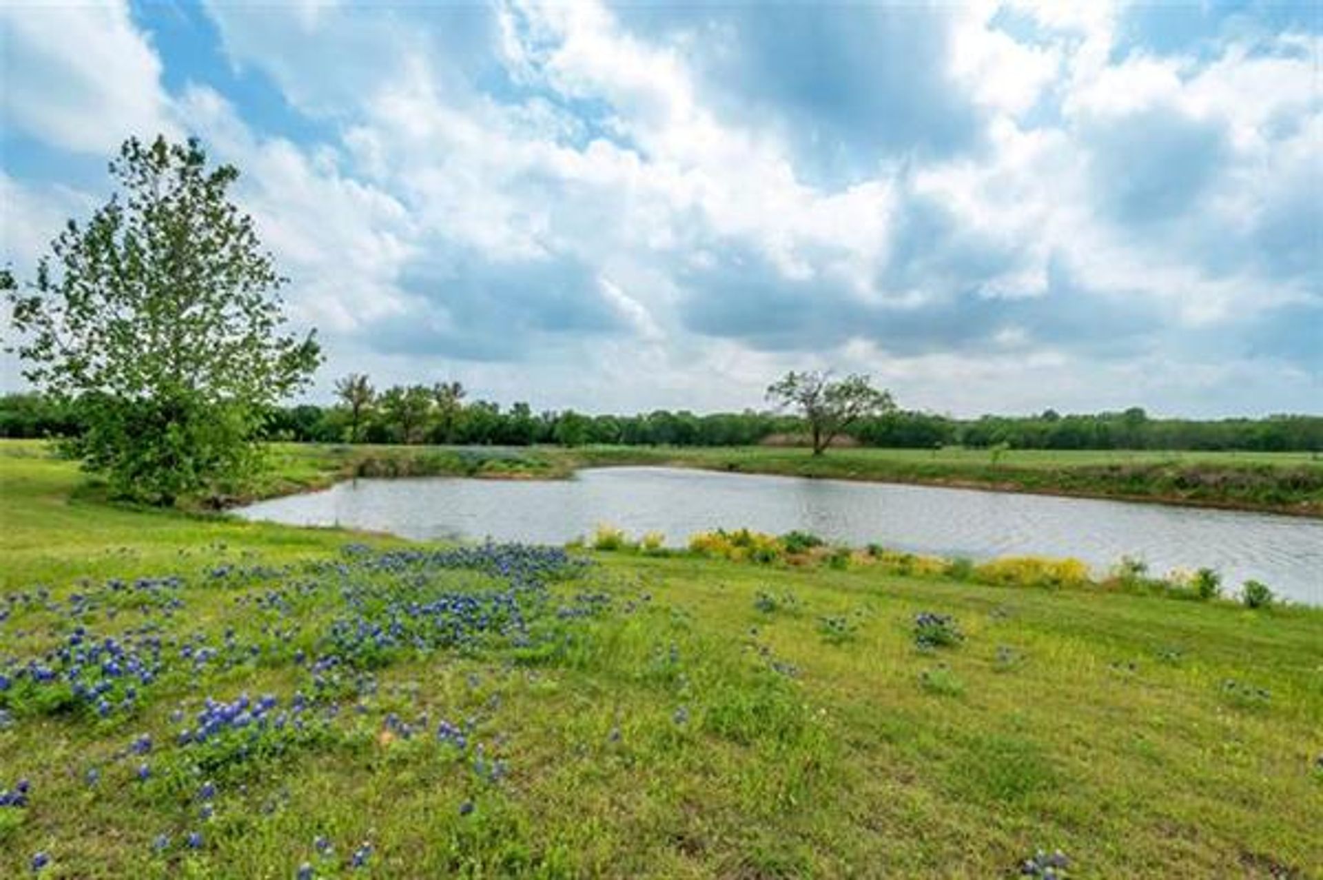 Casa nel Maypearl, Texas 10230361