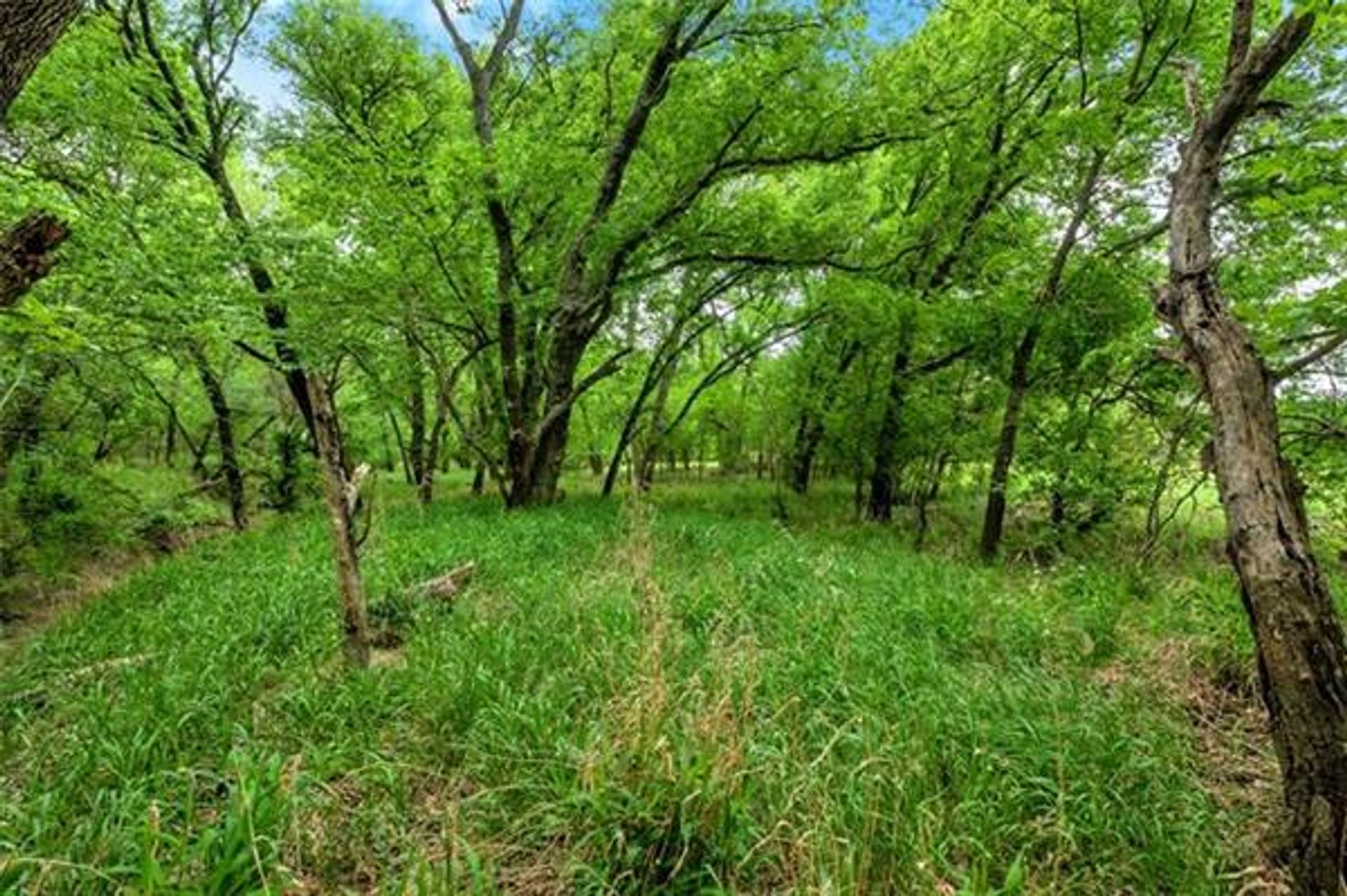 House in Maypearl, Texas 10230361