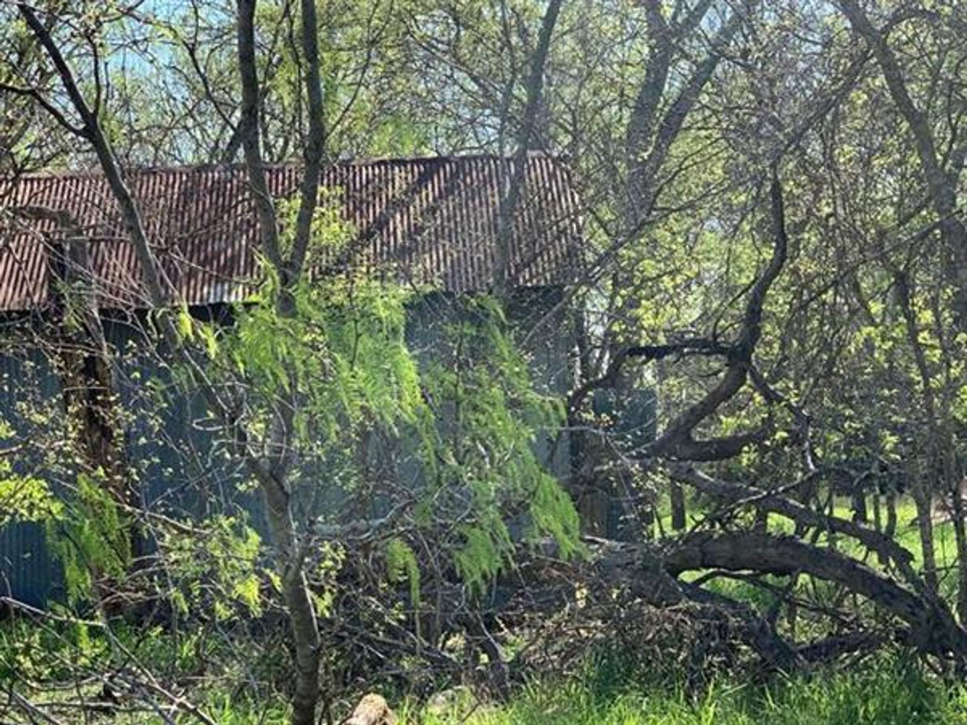 casa en Cíbolo, Texas 10230376