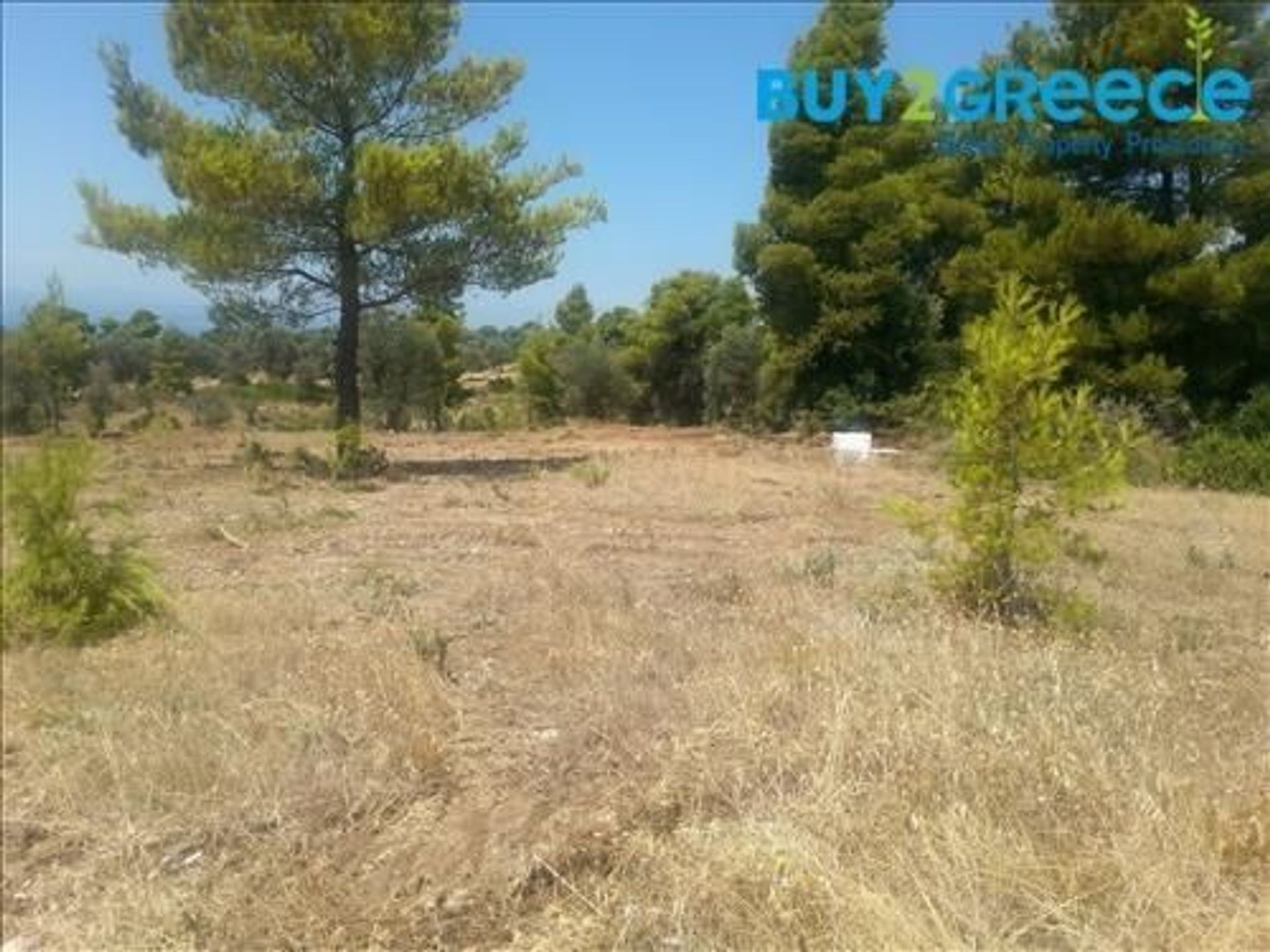 Land in Psachna, Sterea Ellada 10230605