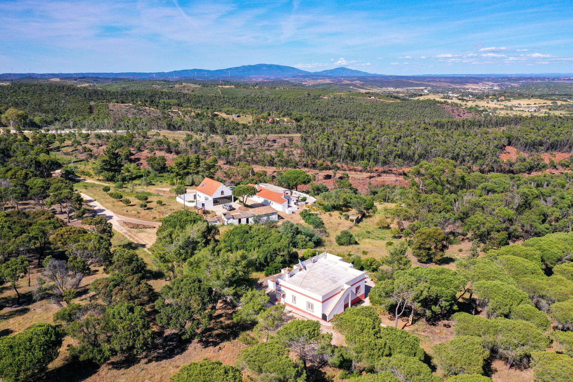 Haus im Barao de Sao Joao, Faro 10234817