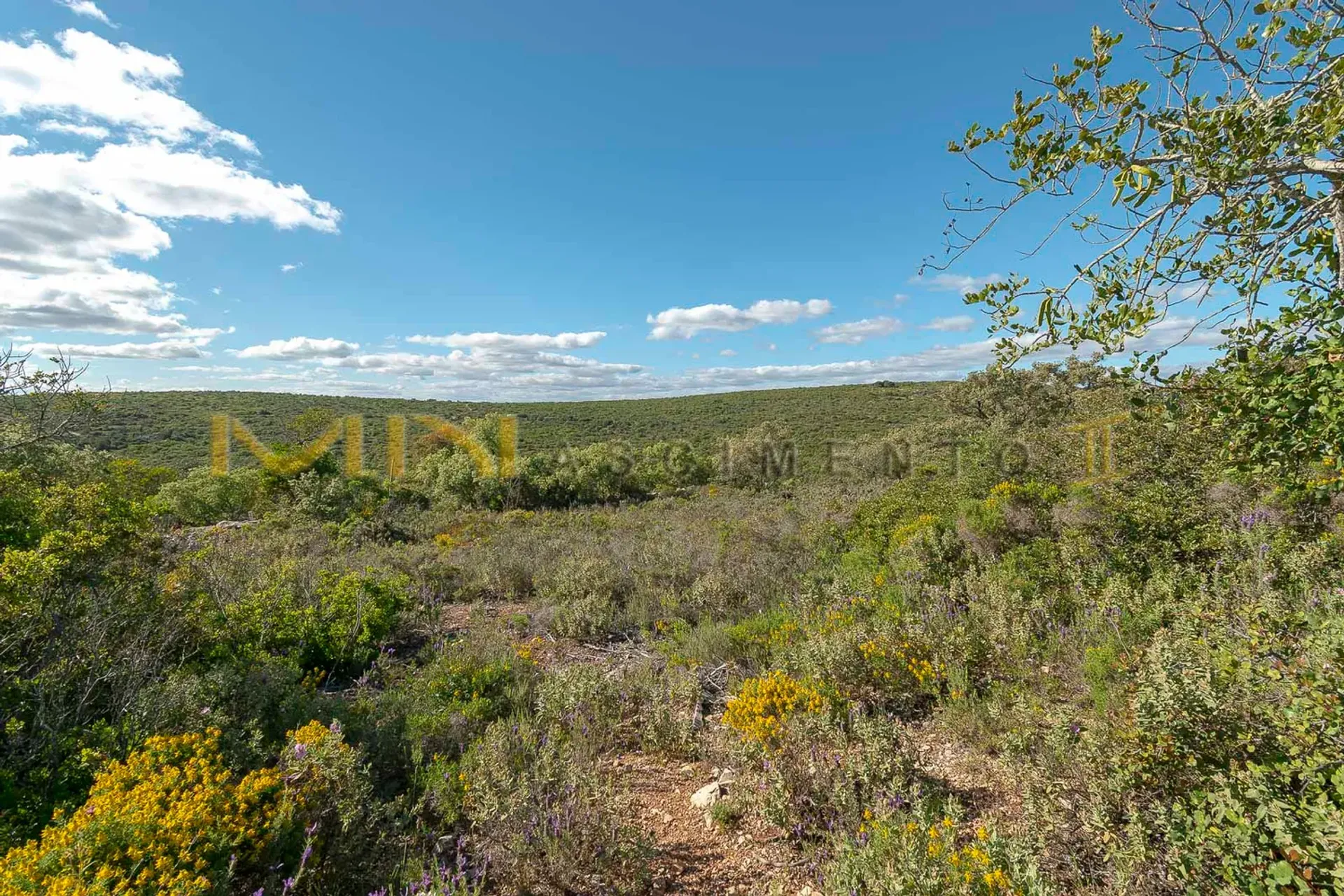 Tierra en Caños, Faraón 10483785