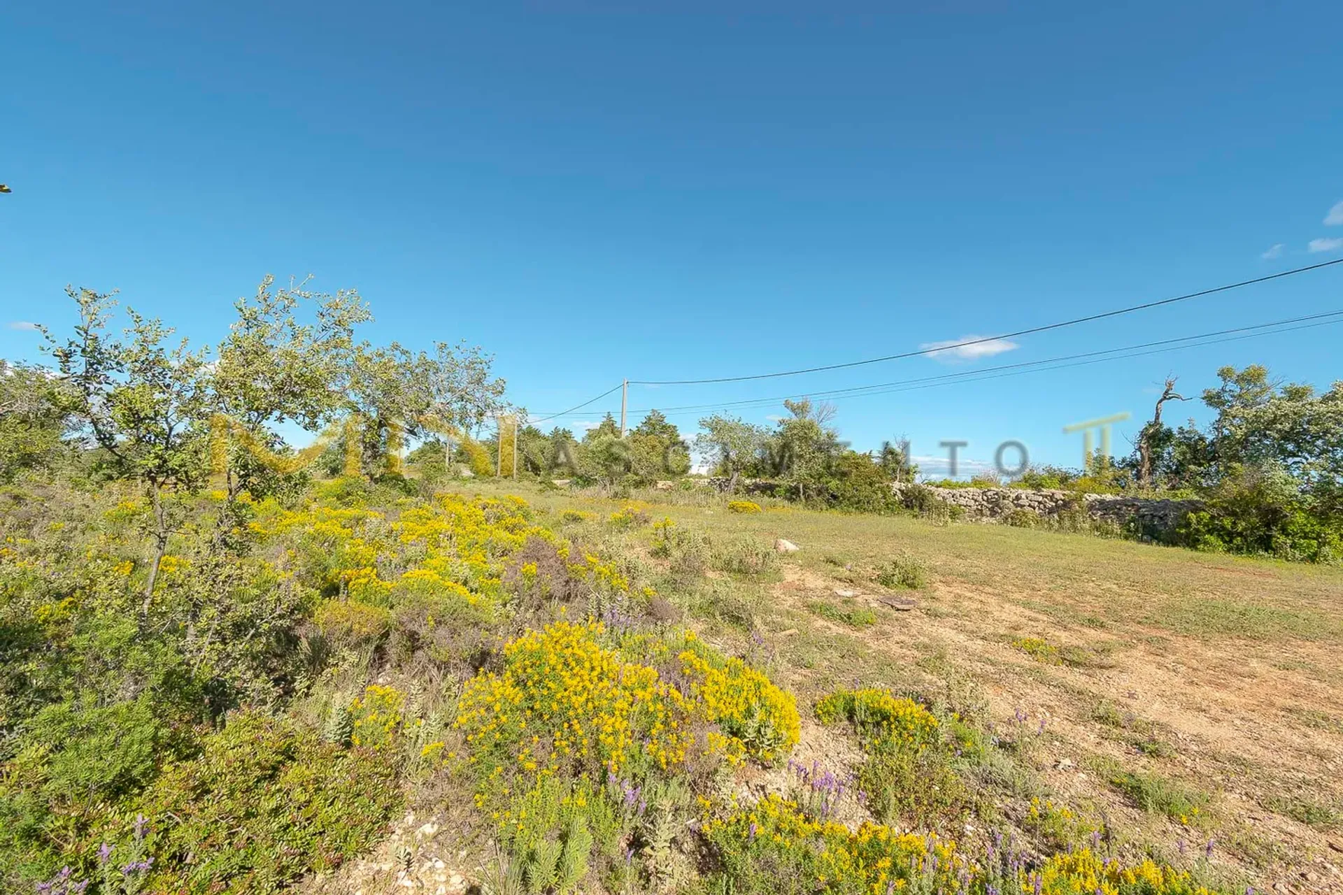 Tierra en Caños, Faraón 10483785